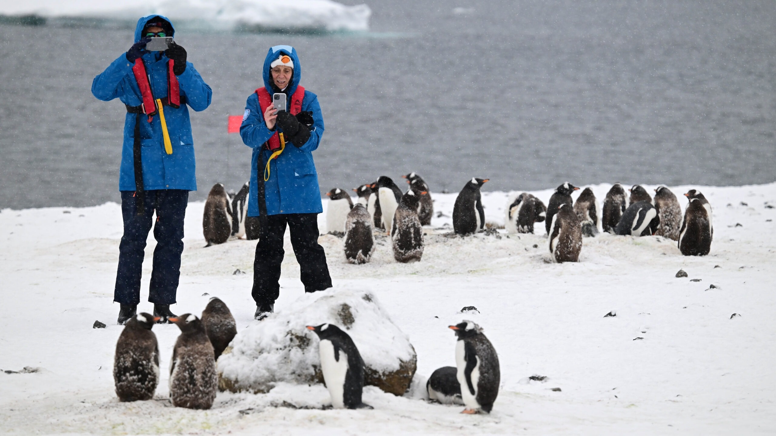 Kham pha noi vua chay marathon, vua mac ao ret hinh anh