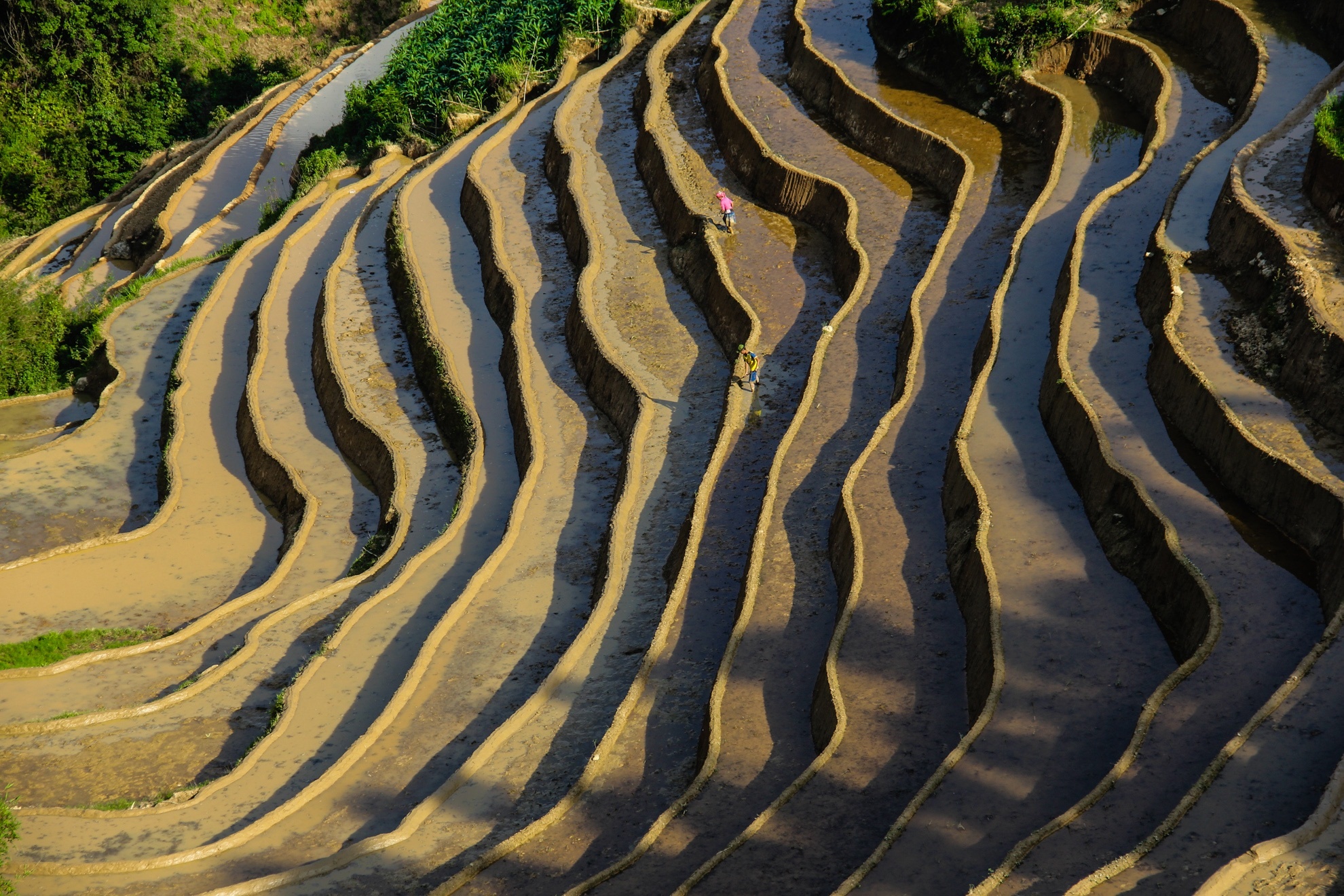 Duong cong ky ao cua ruong bac thang Tay Bac hinh anh