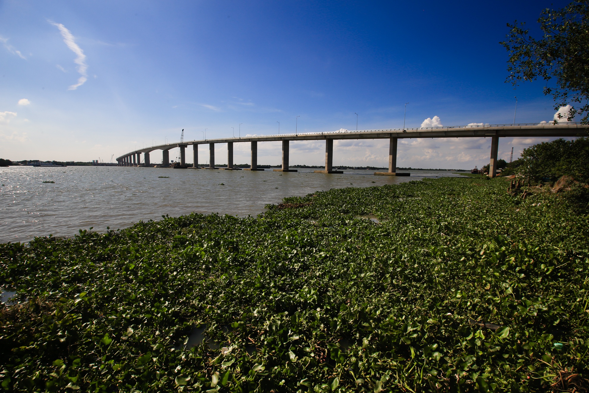 Theo quốc lộ 50 từ TP.HCM tới Tiền Giang, các nhóm phượt có thể ghé thăm Lăng Hoàng Gia được xây dựng trên gò Sơn Quy (thị xã Gò Công) nơi thờ dòng họ Phạm Đăng, trong đó có mộ ông Phạm Đăng Hưng (cha của hoàng thái hậu Từ Dũ, ông ngoại vua Tự Đức), thăm vùng trồng sơ ri Gò Công hay ghé thăm bãi biển Tân Thành (Gò Công).