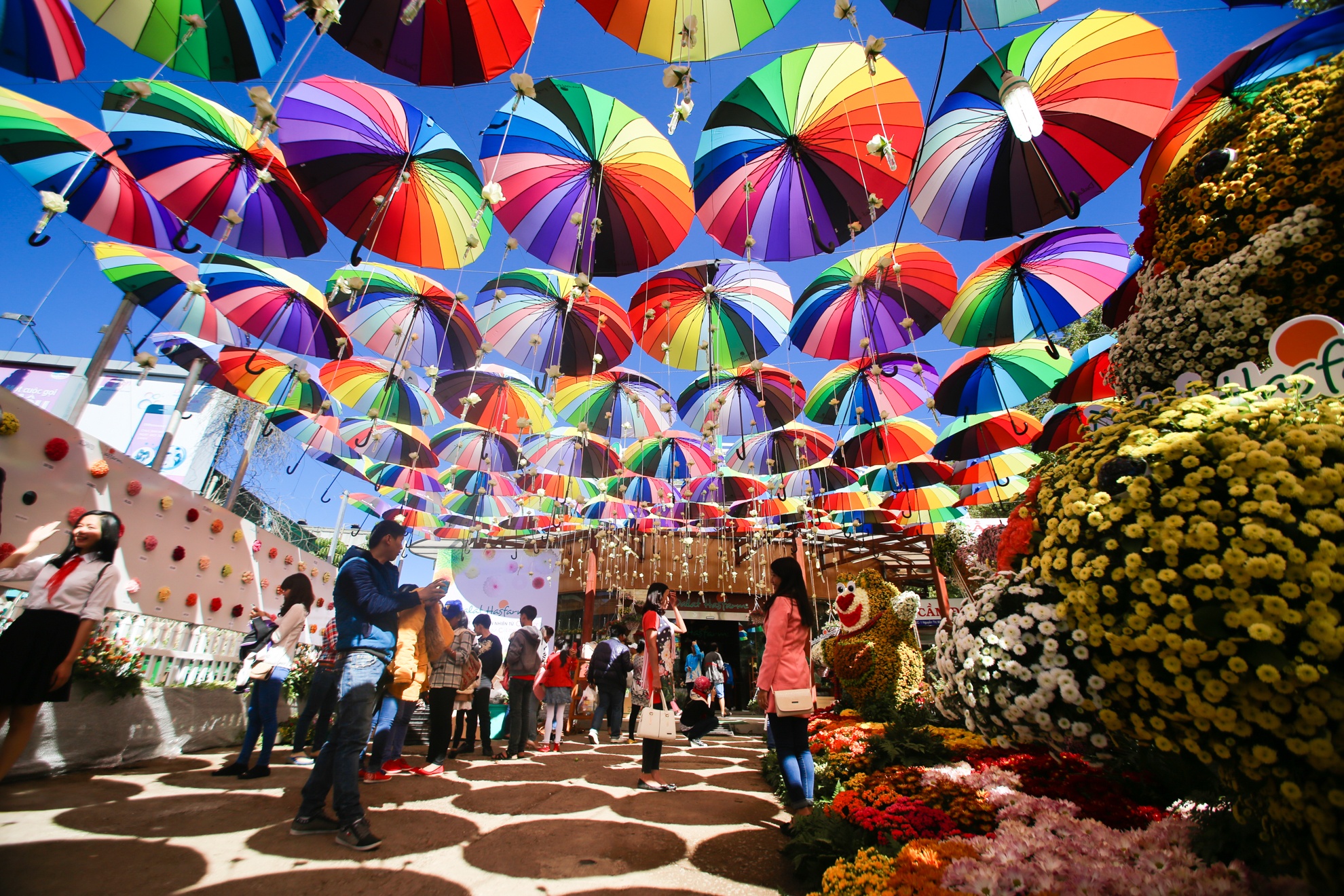 Da Lat ruc ro truoc gio khai mac le hoi hoa hinh anh