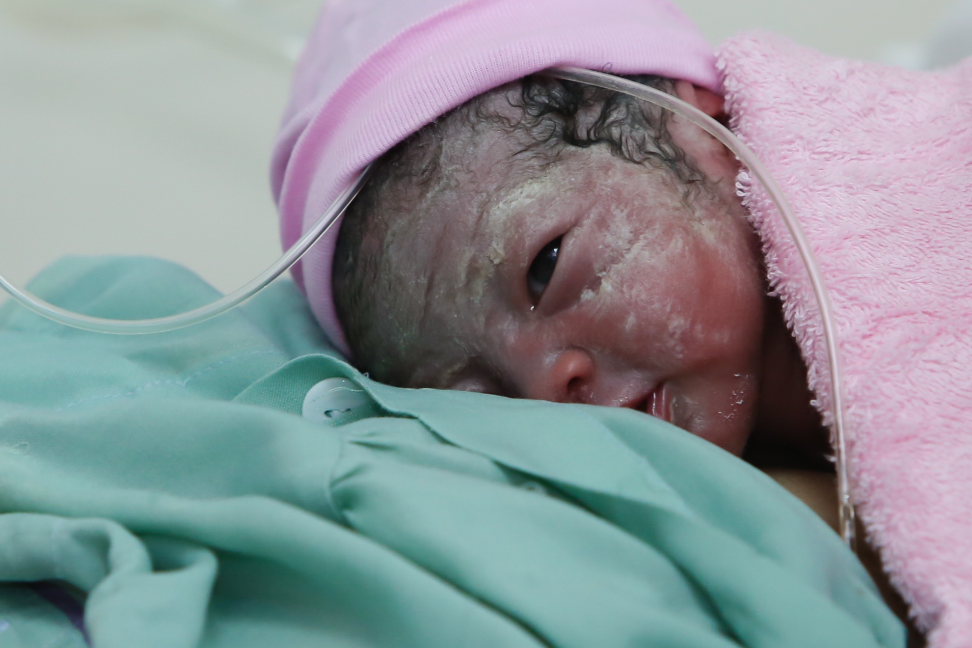 Chao don cong dan nhi dau tien cua nam Binh Than hinh anh