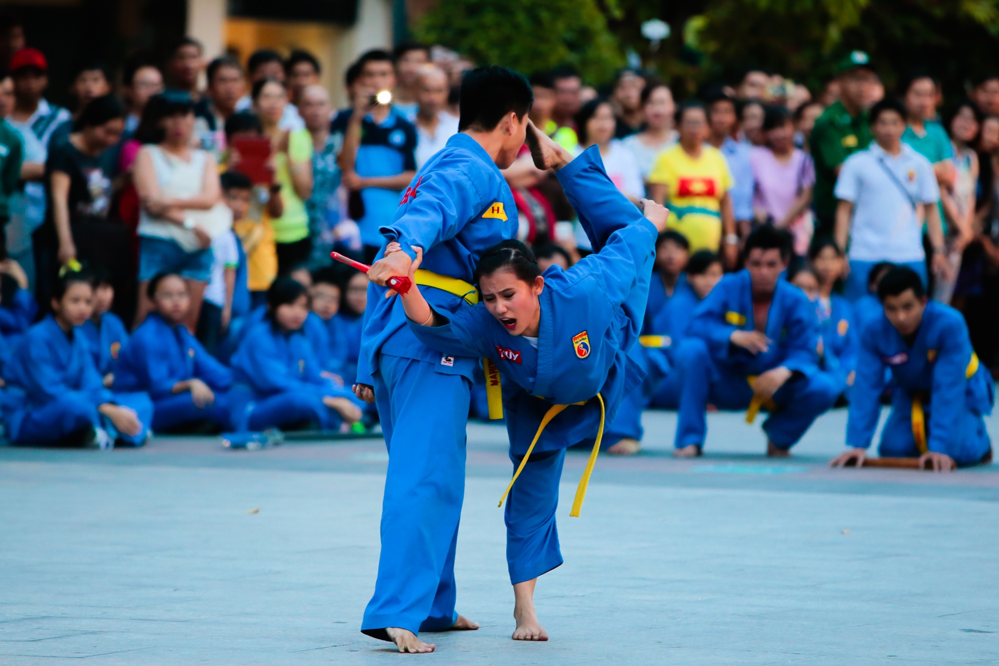 trinh dien vovinam,  bieu dien vovinam tren pho di bo anh 9