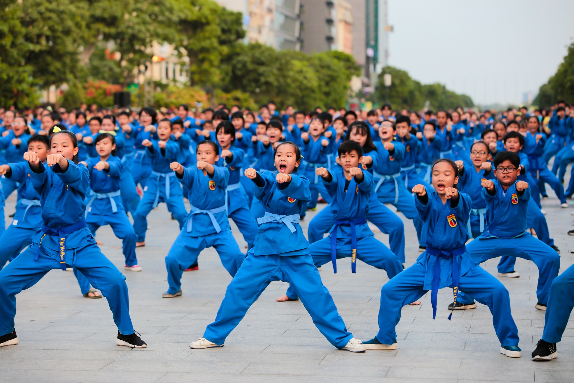 trinh dien vovinam,  bieu dien vovinam tren pho di bo anh 4
