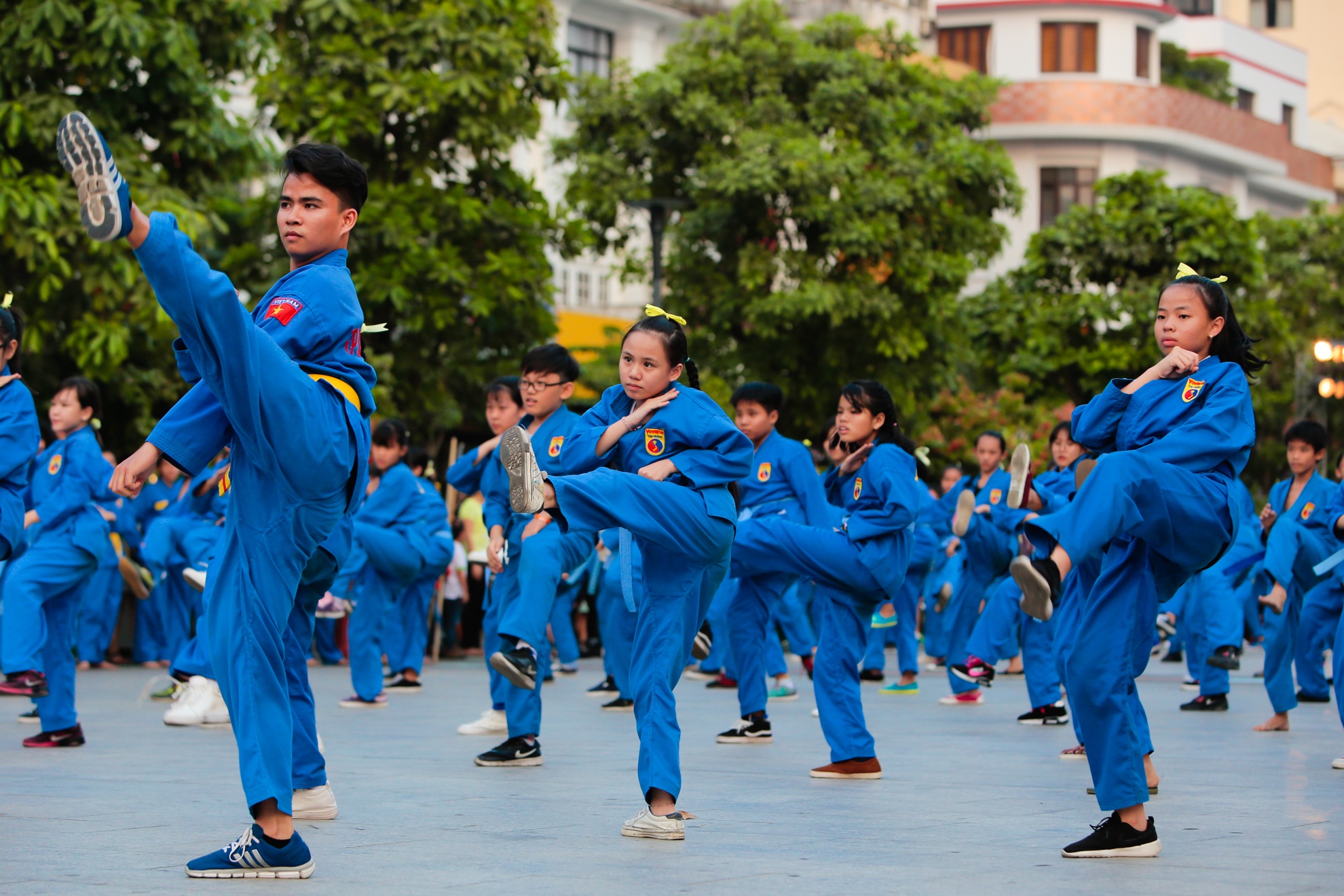trinh dien vovinam,  bieu dien vovinam tren pho di bo anh 5