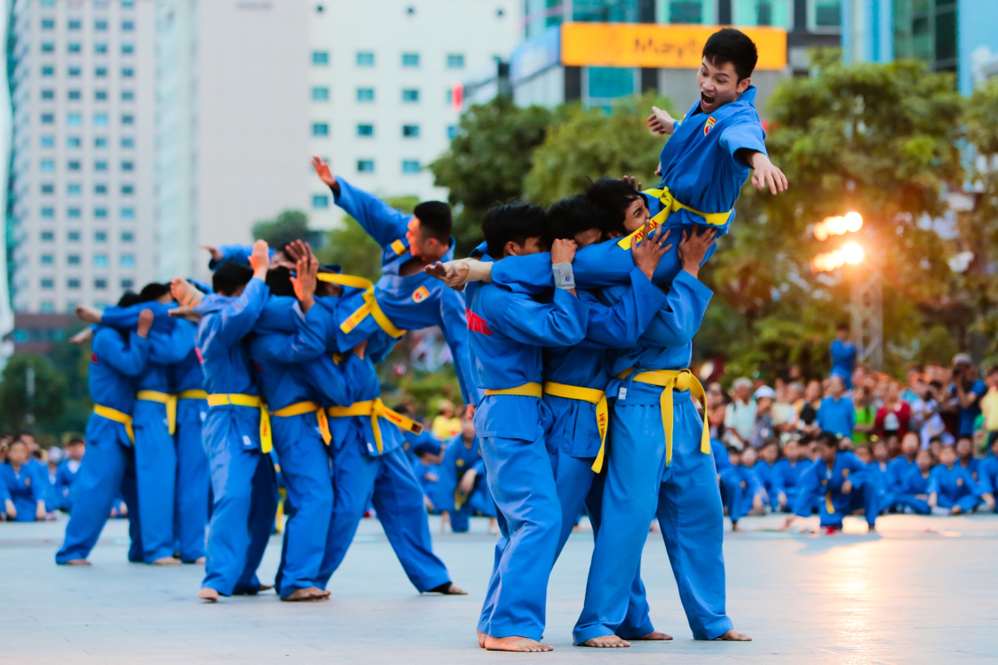 trinh dien vovinam,  bieu dien vovinam tren pho di bo anh 8