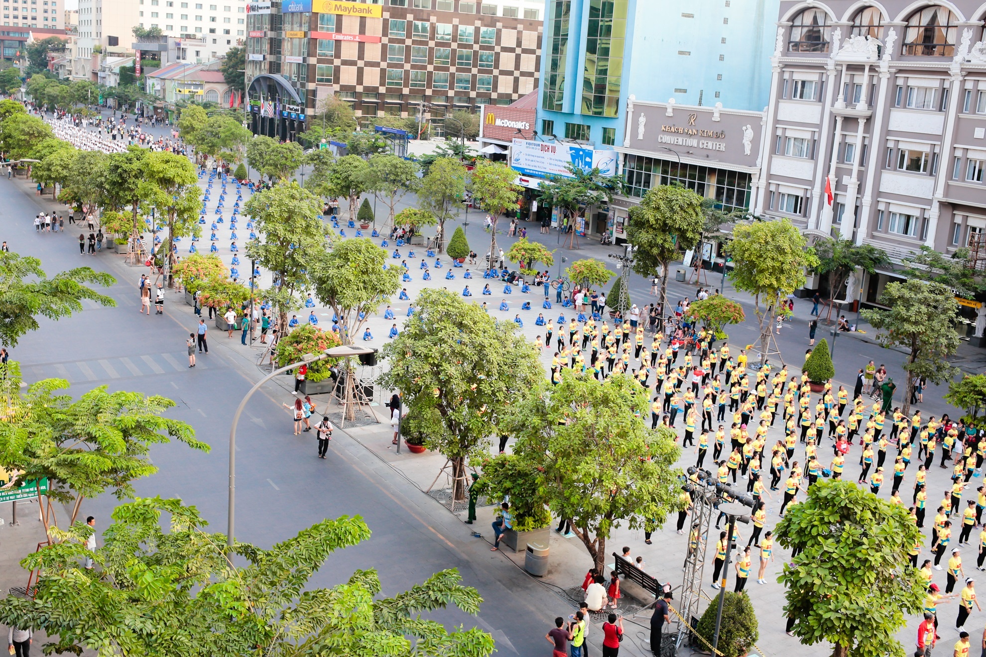trinh dien vovinam,  bieu dien vovinam tren pho di bo anh 1