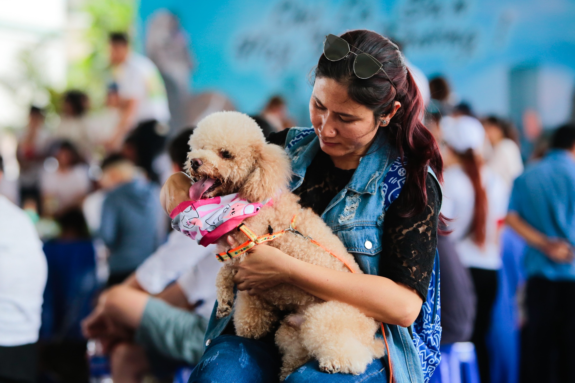 dieu hanh bao ve cho anh 11