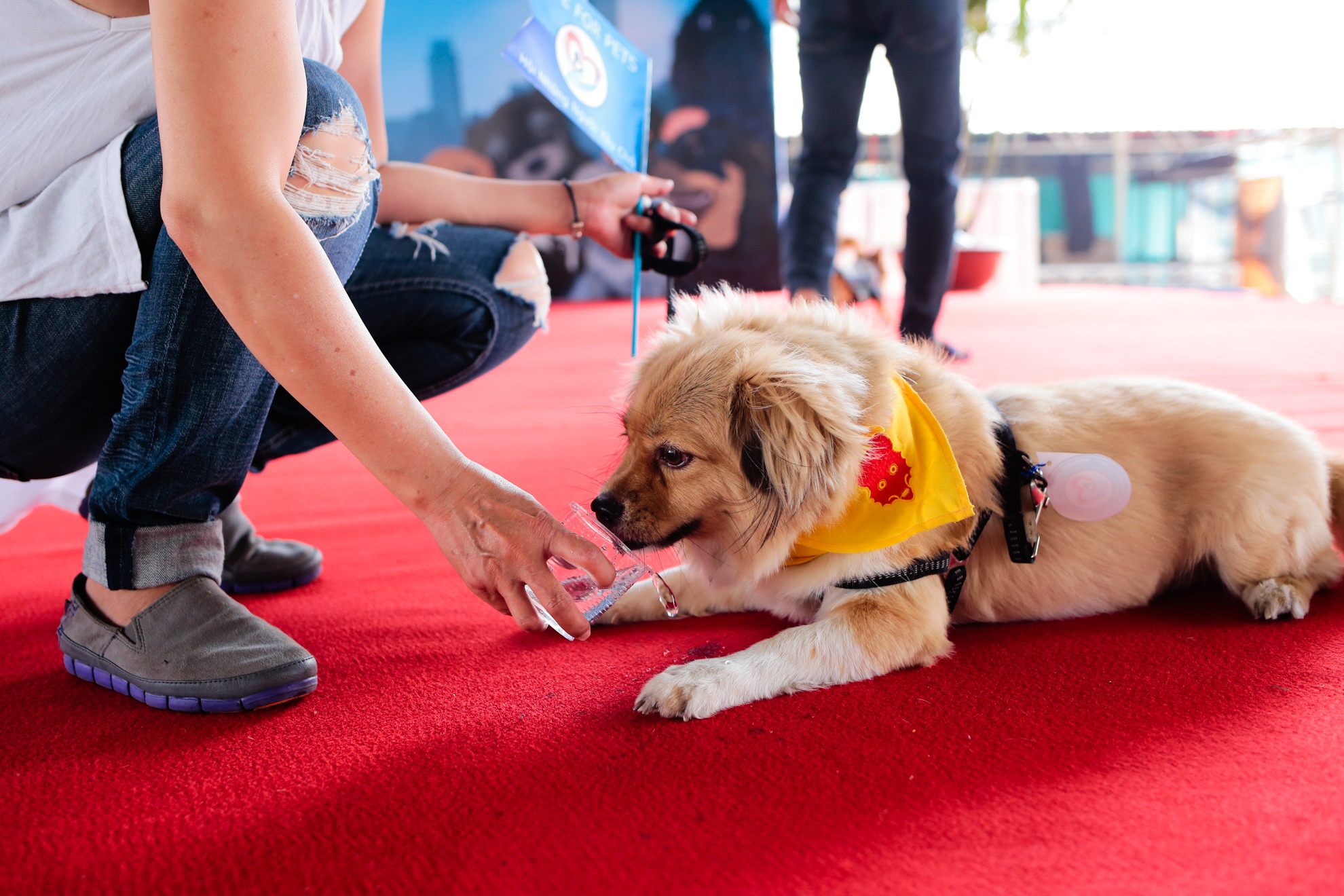 dieu hanh bao ve cho anh 12