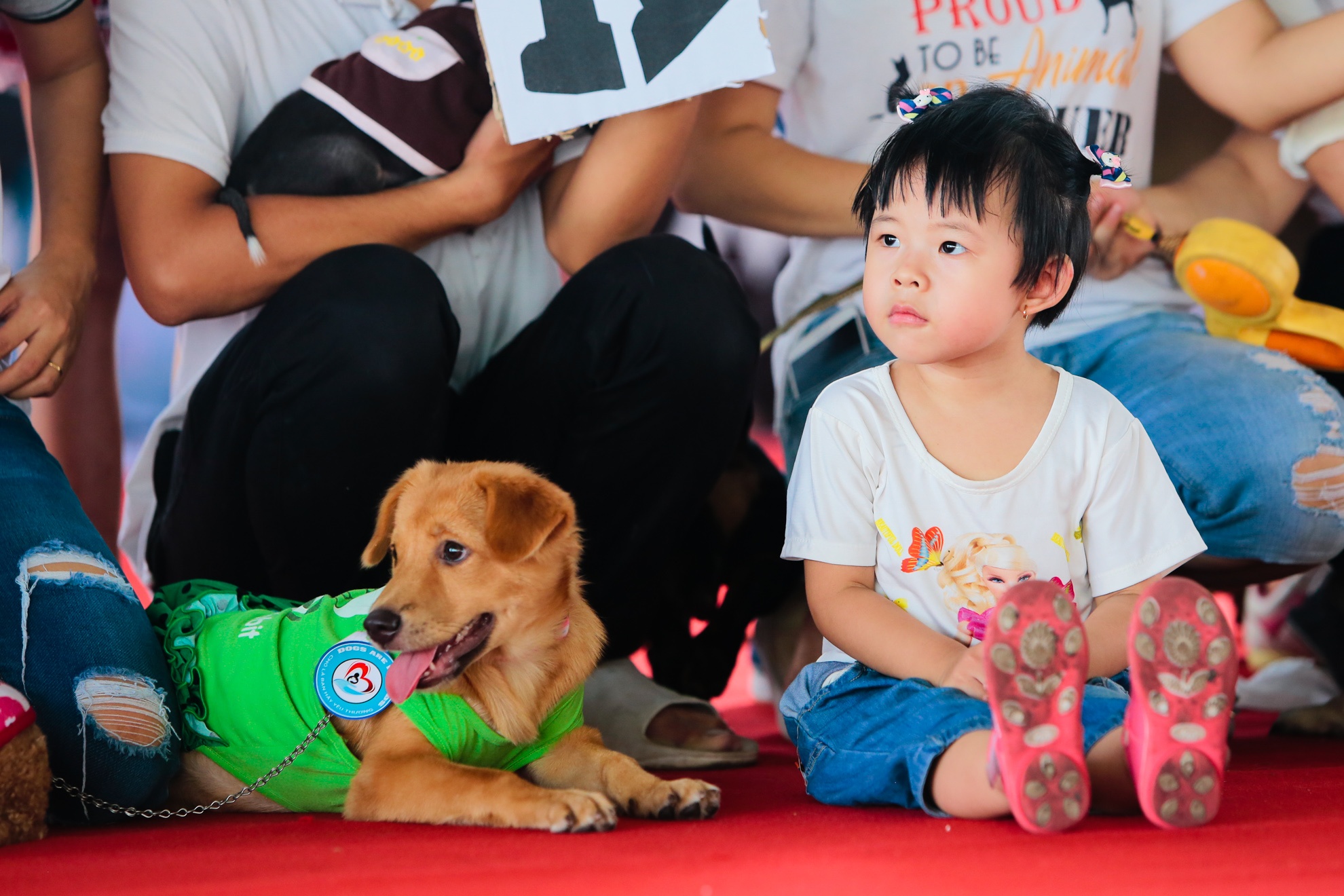 dieu hanh bao ve cho anh 13