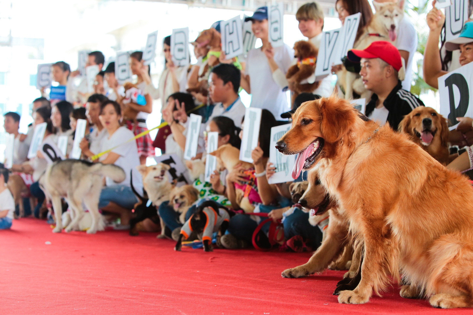 dieu hanh bao ve cho anh 14