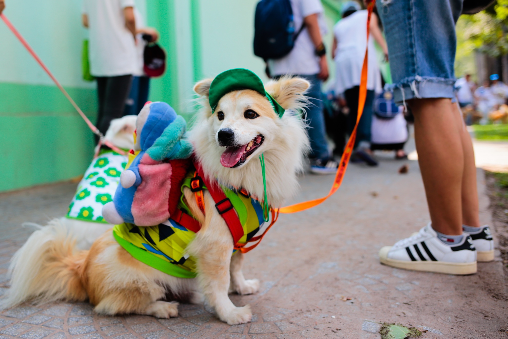 dieu hanh bao ve cho anh 4