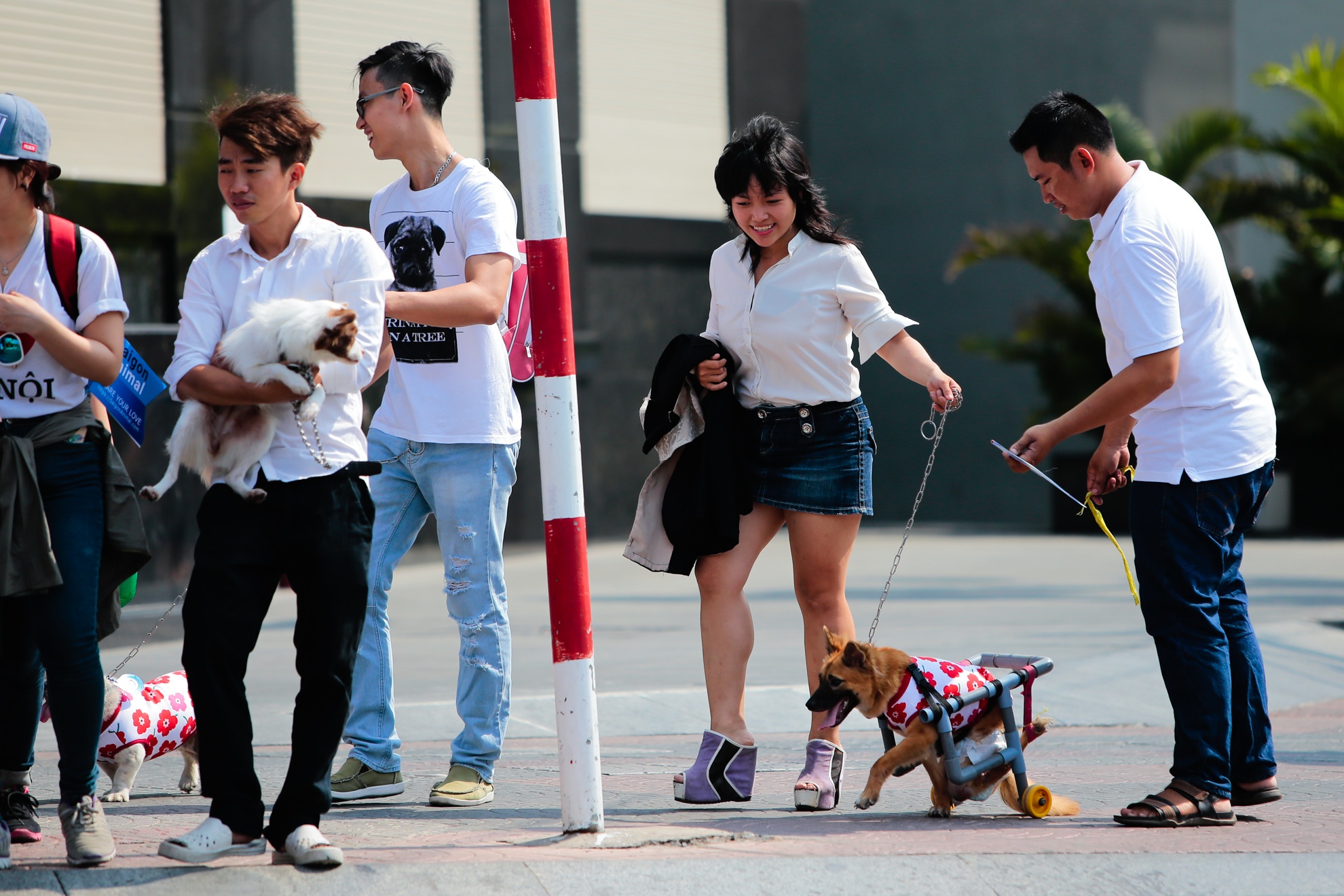 dieu hanh bao ve cho anh 5