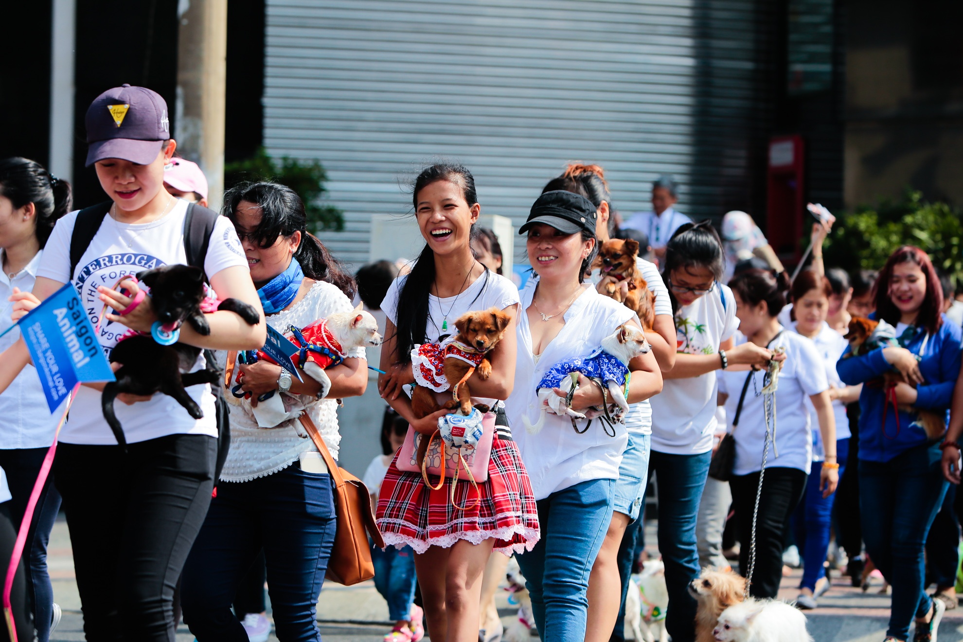 cứu hộ chó mèo ảnh 13 cuu ho cho meo anh 13