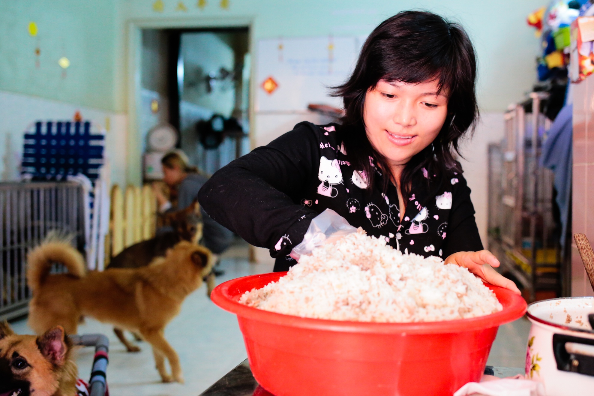 cứu hộ chó mèo ảnh 8 cuu ho cho meo anh 8