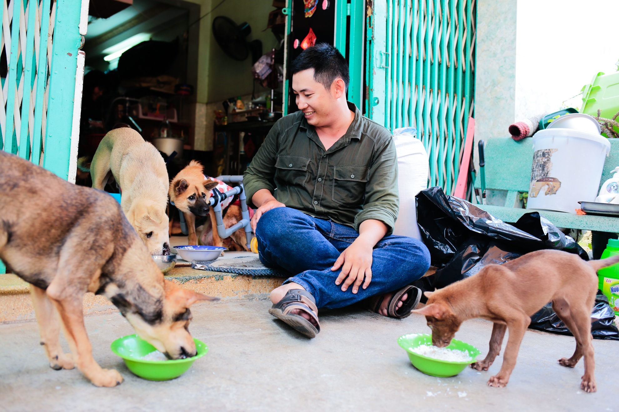 cứu hộ chó mèo ảnh 10 cuu ho cho meo anh 10