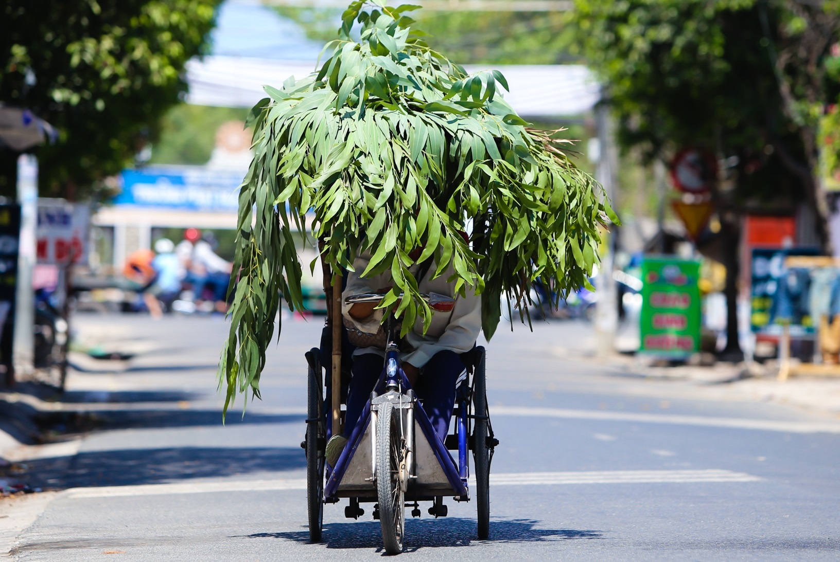 Khon kho chong nong 38 do C o Sai Gon hinh anh