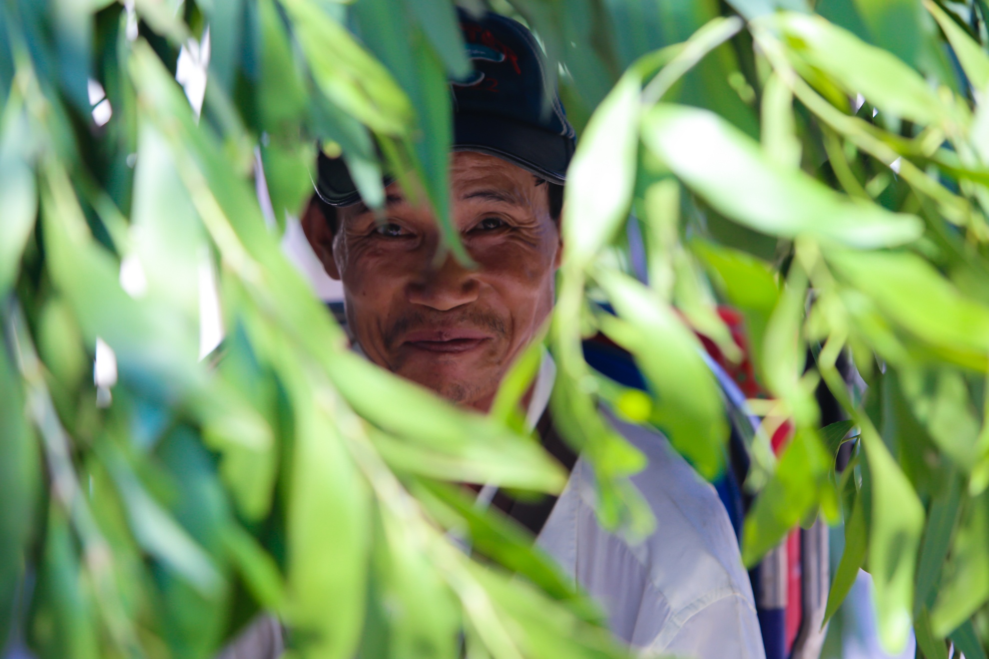 Sai Gon nang nong anh 5