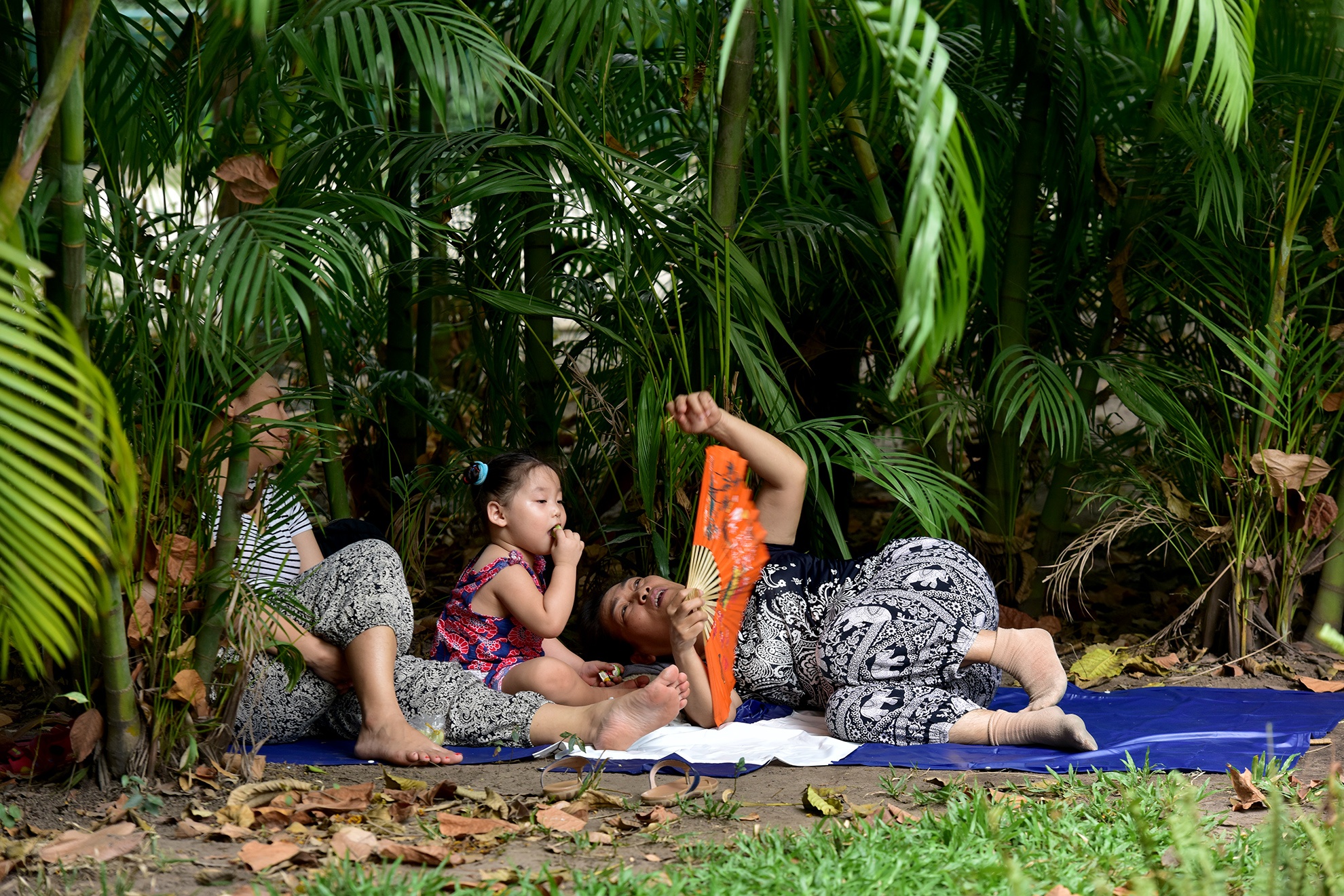 Sai Gon nang nong anh 3