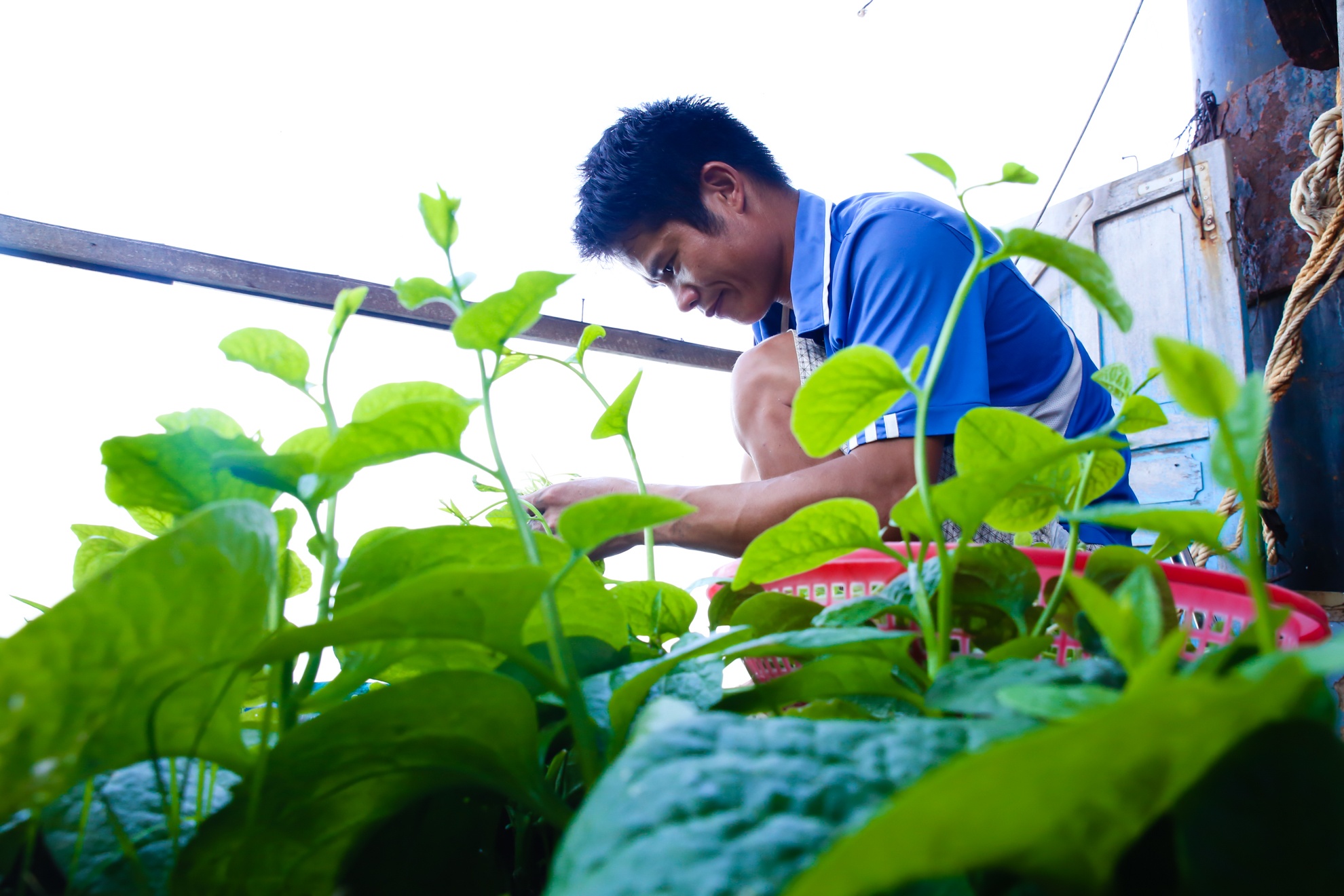 Hải đăng Đá lát cao nhất Trường Sa ảnh 9 Hai dang Da lat cao nhat Truong Sa anh 9