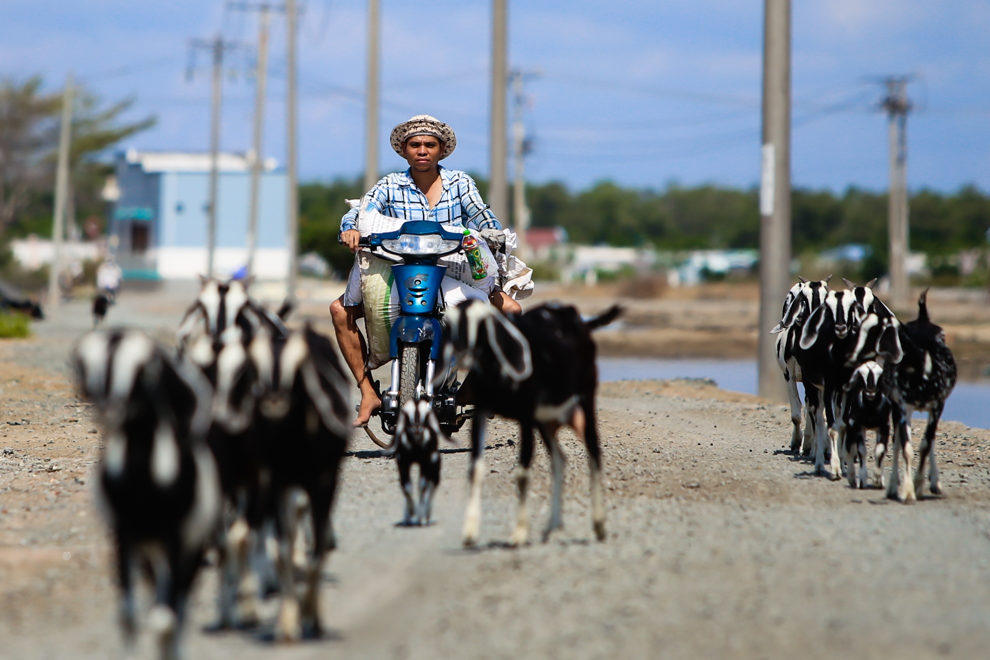 Diem dan Ly Nhon pha san anh 4