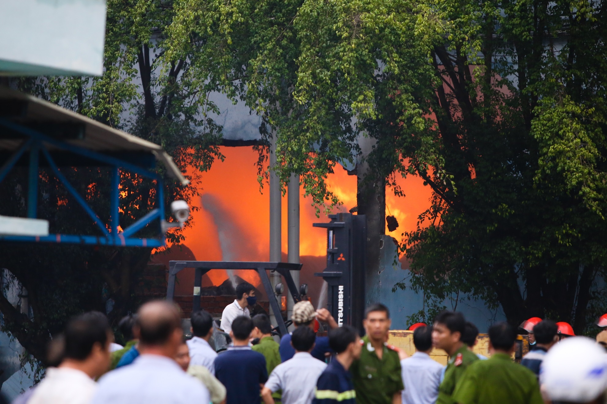 Chay nem Van Thanh anh 8