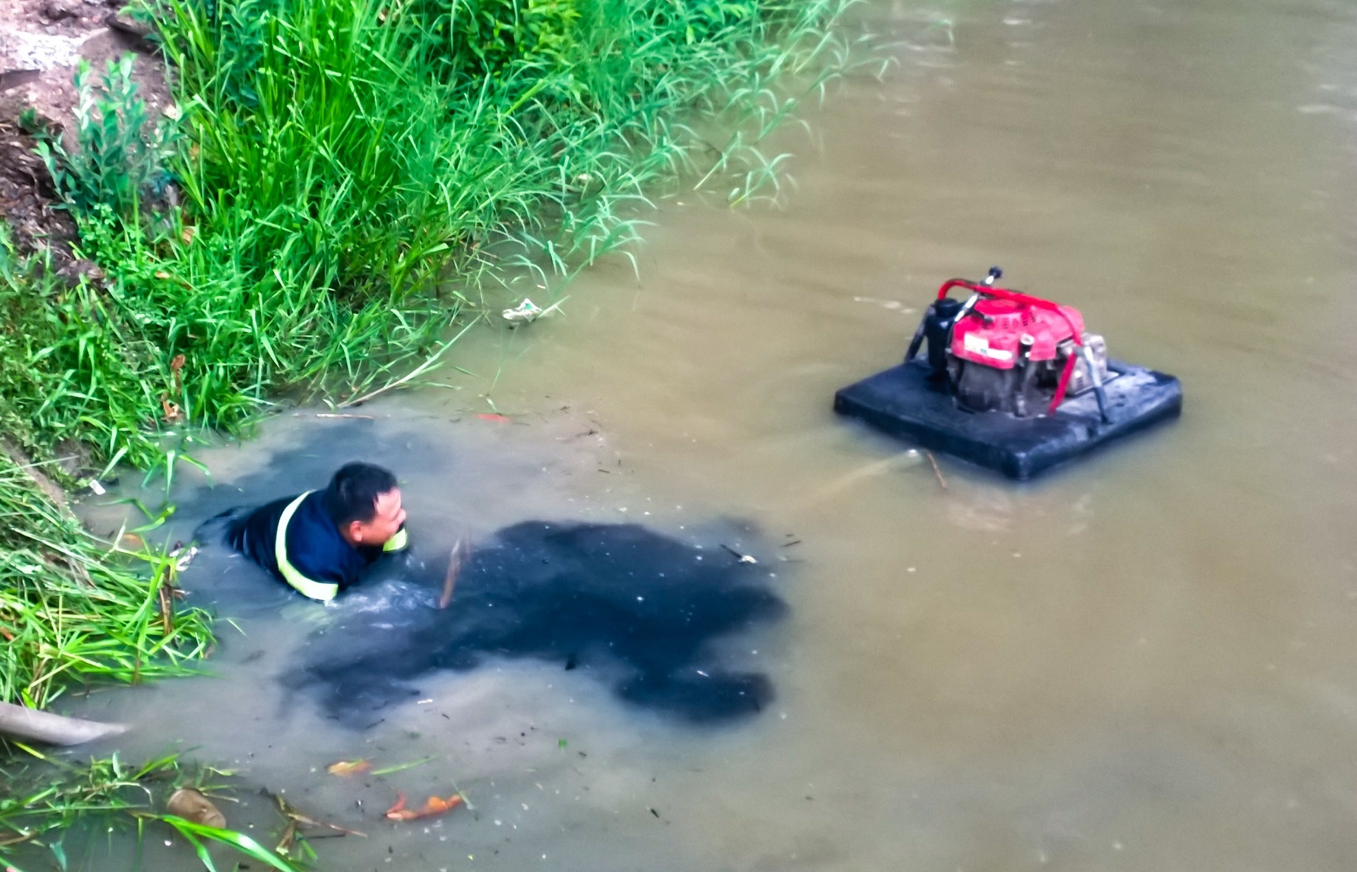 Chay nem Van Thanh anh 4