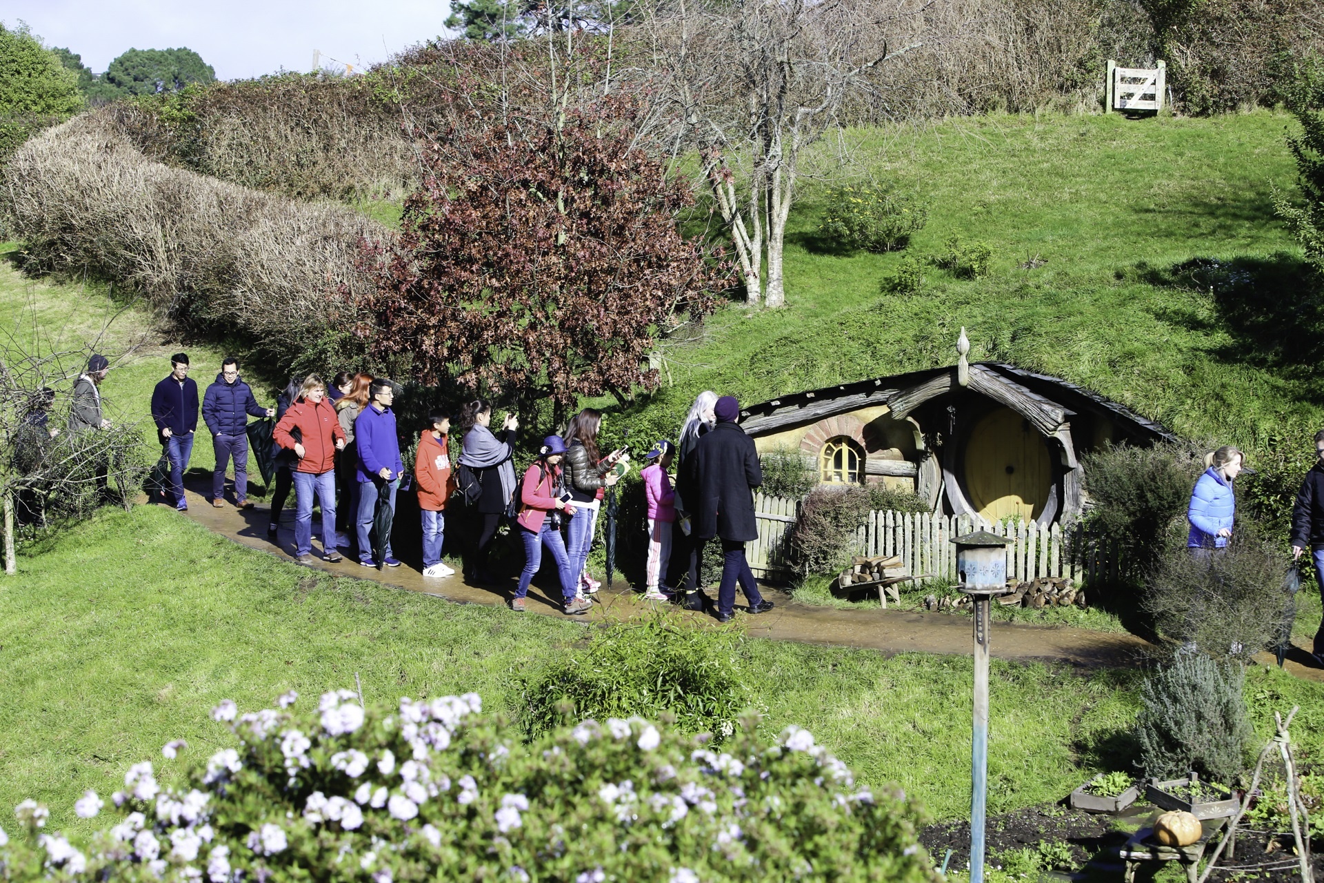 lang hobbit trong phim chua te nhung chiec nhan anh 5