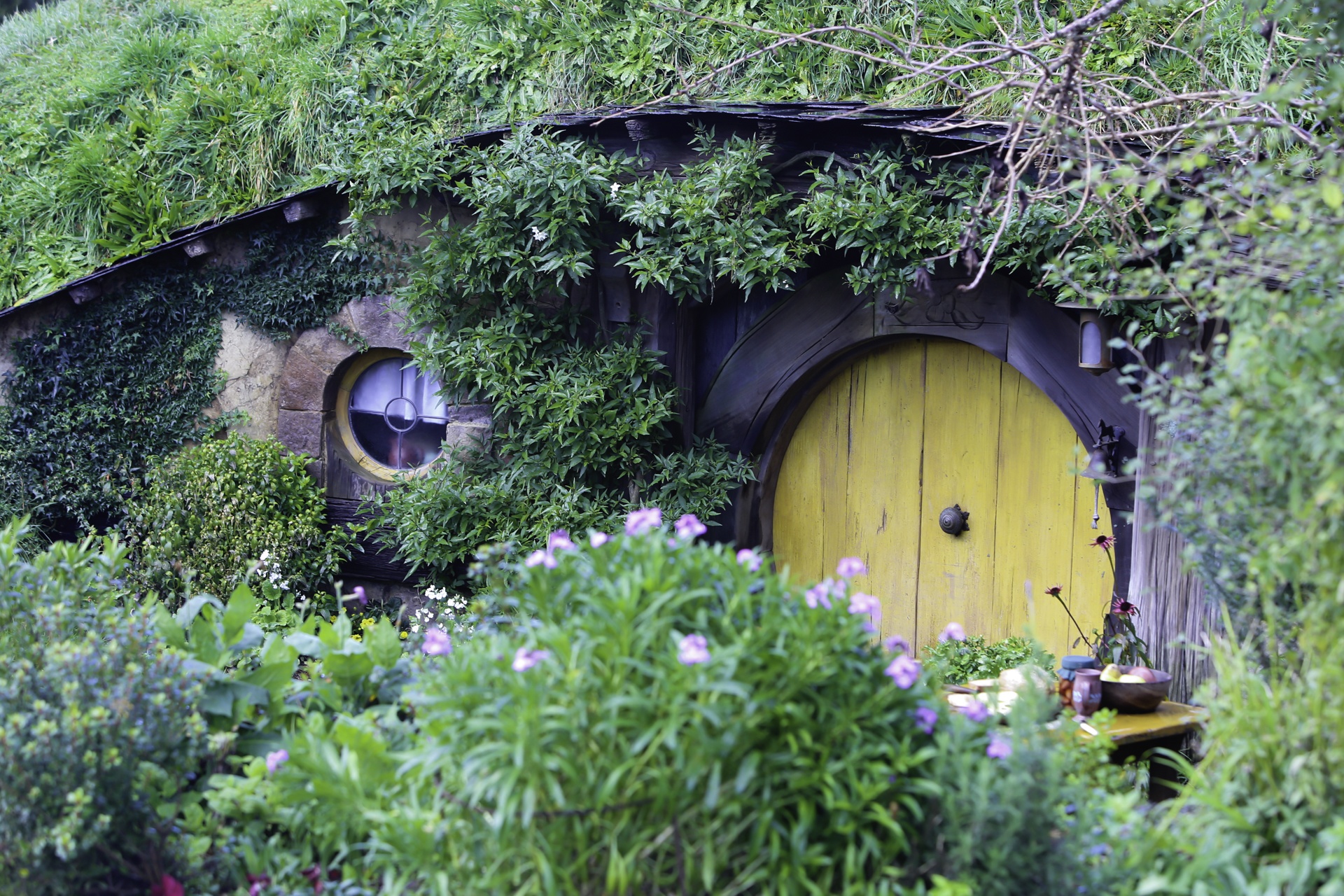 Xu so than tien cua nguoi lun o New Zealand hinh anh