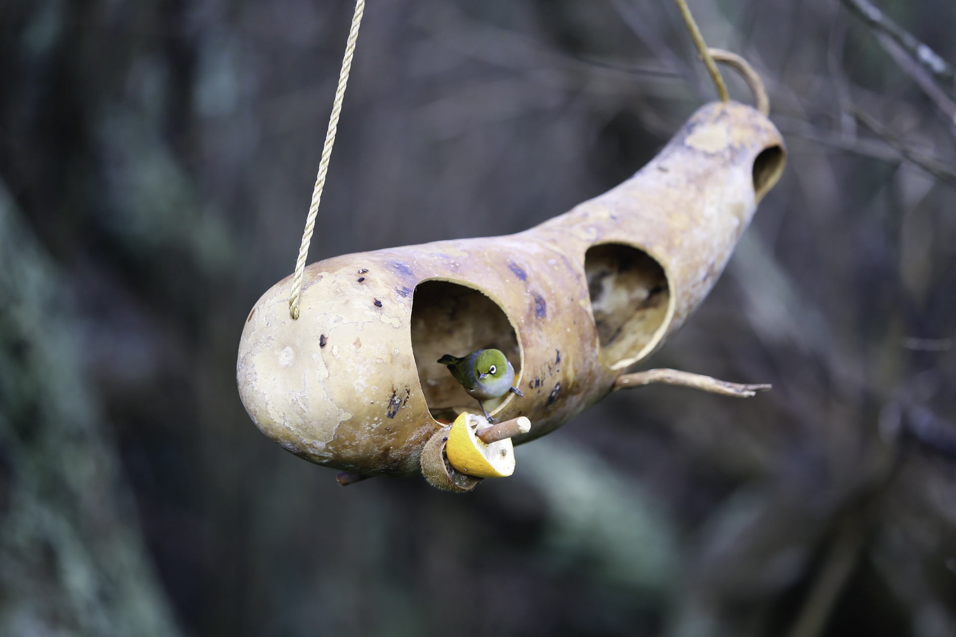 lang hobbit trong phim chua te nhung chiec nhan anh 10