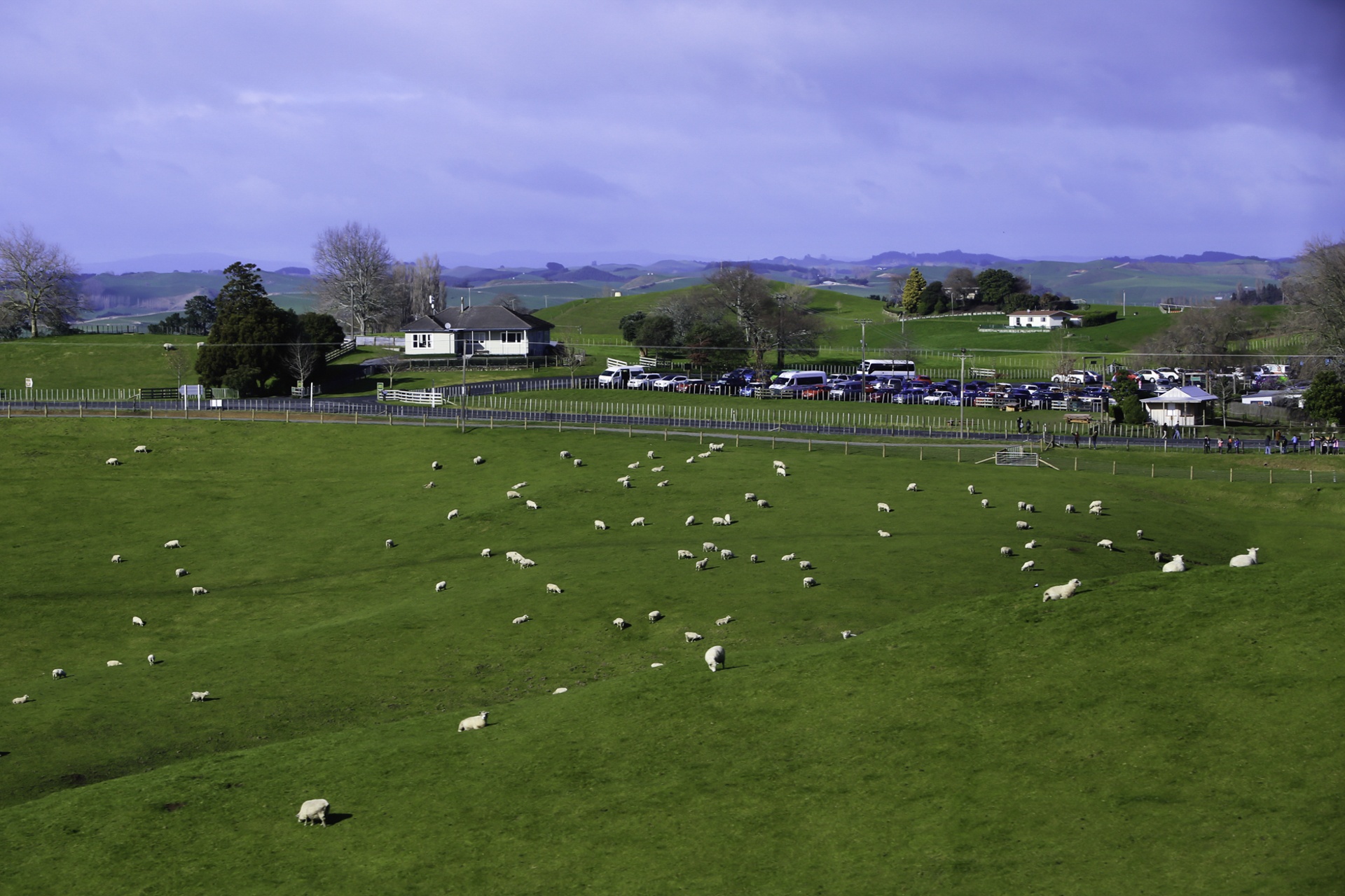 lang hobbit trong phim chua te nhung chiec nhan anh 2