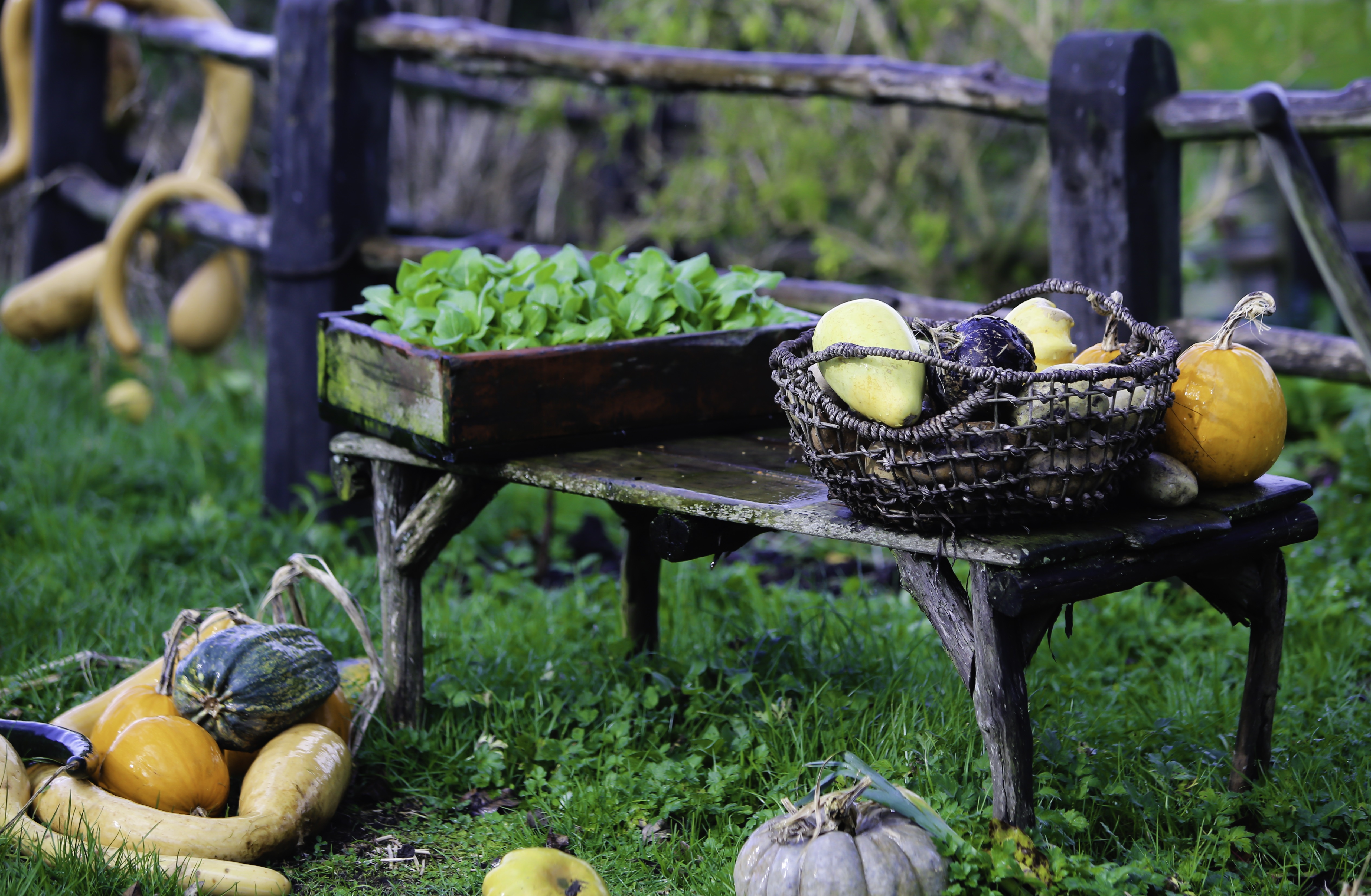 lang hobbit trong phim chua te nhung chiec nhan anh 8