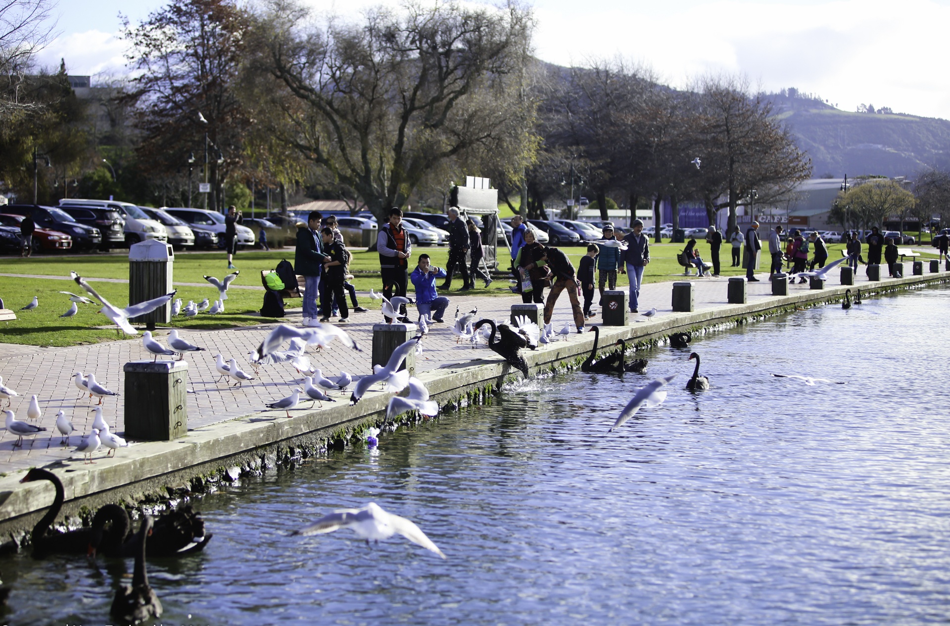 rotorua thanh pho nui lua anh 2
