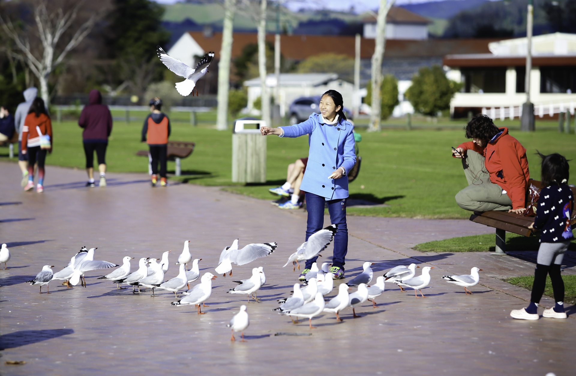 rotorua thanh pho nui lua anh 3