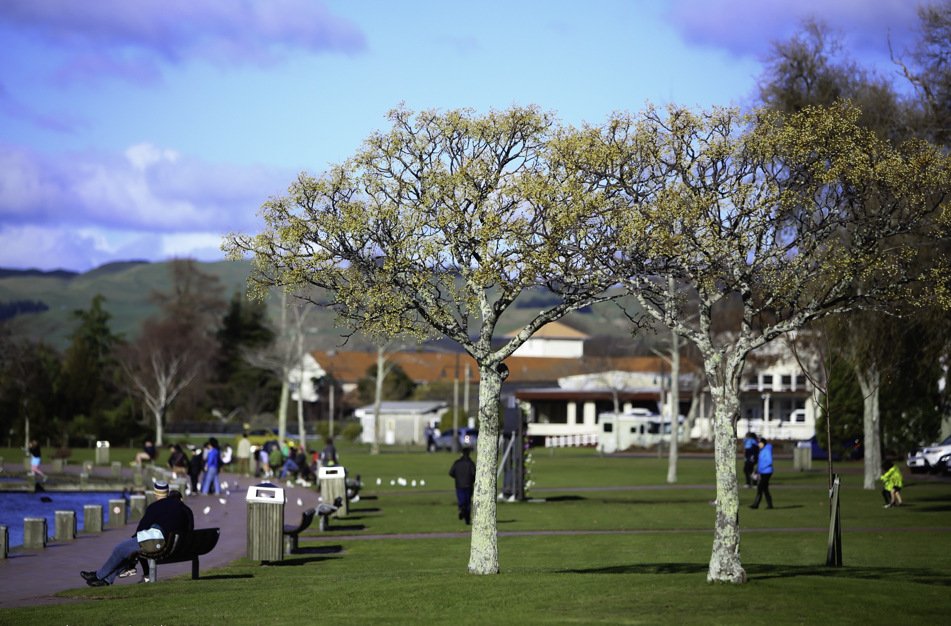 rotorua thanh pho nui lua anh 1
