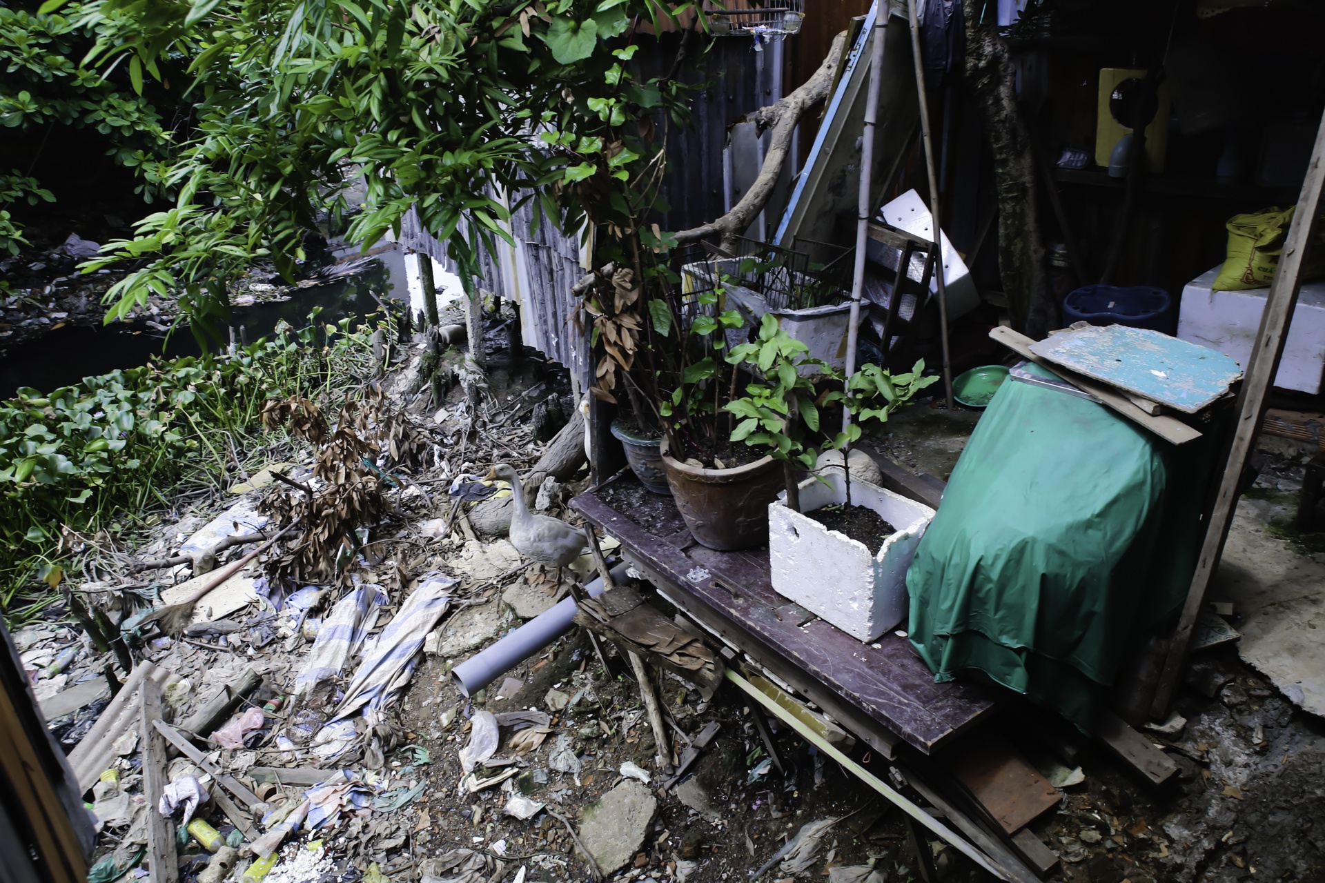 xom nuoc den Binh Thanh anh 4