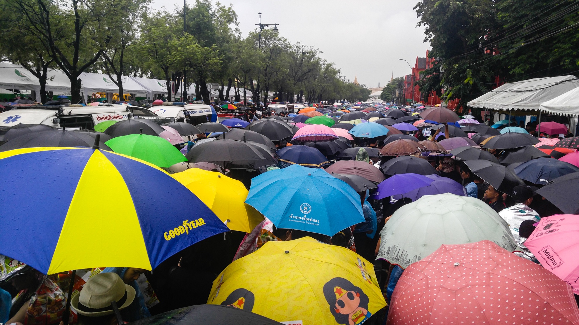 Quoc vuong Thai Lan bang ha anh 1