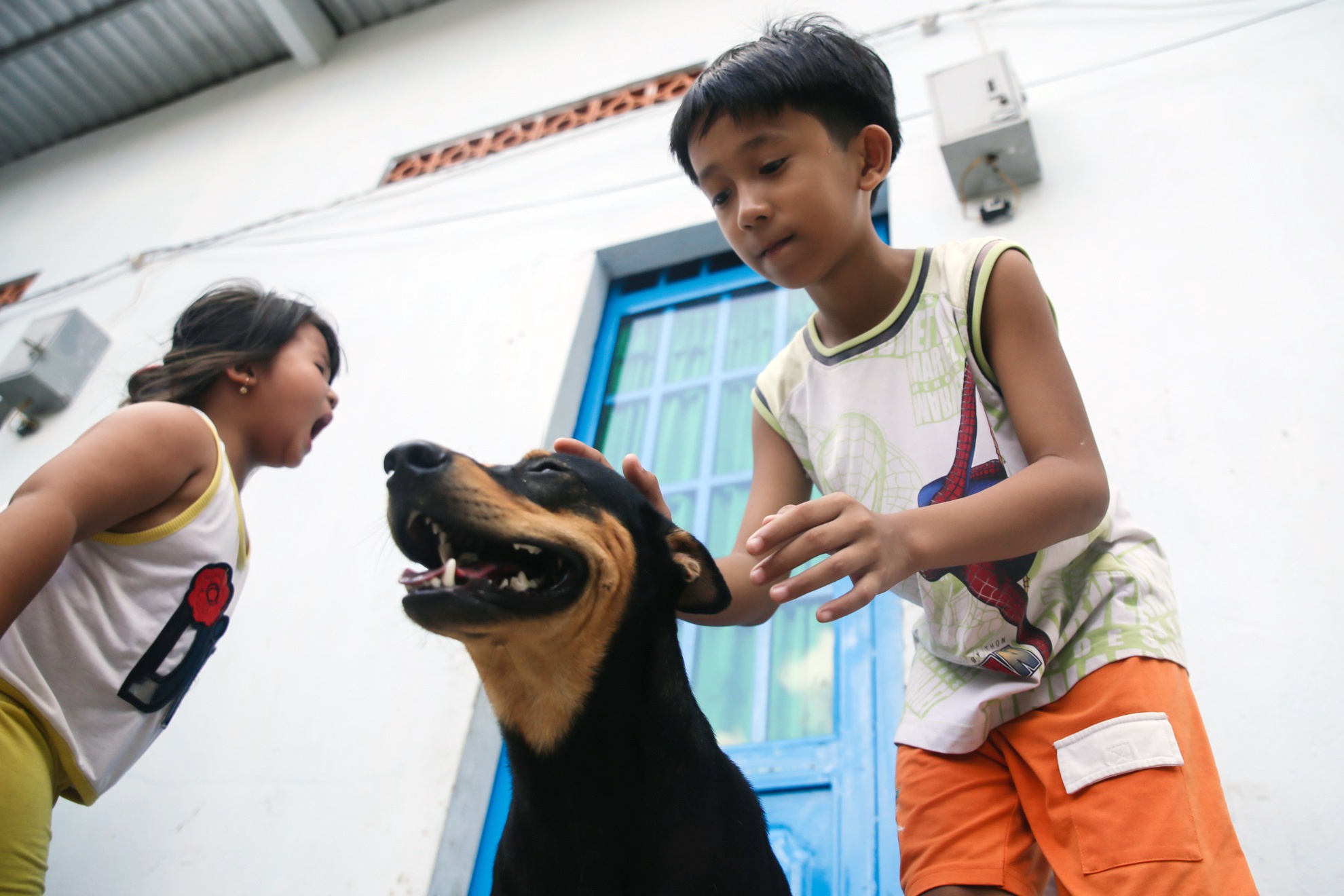 Cau be 11 tuoi hat rong nuoi gia dinh anh 17