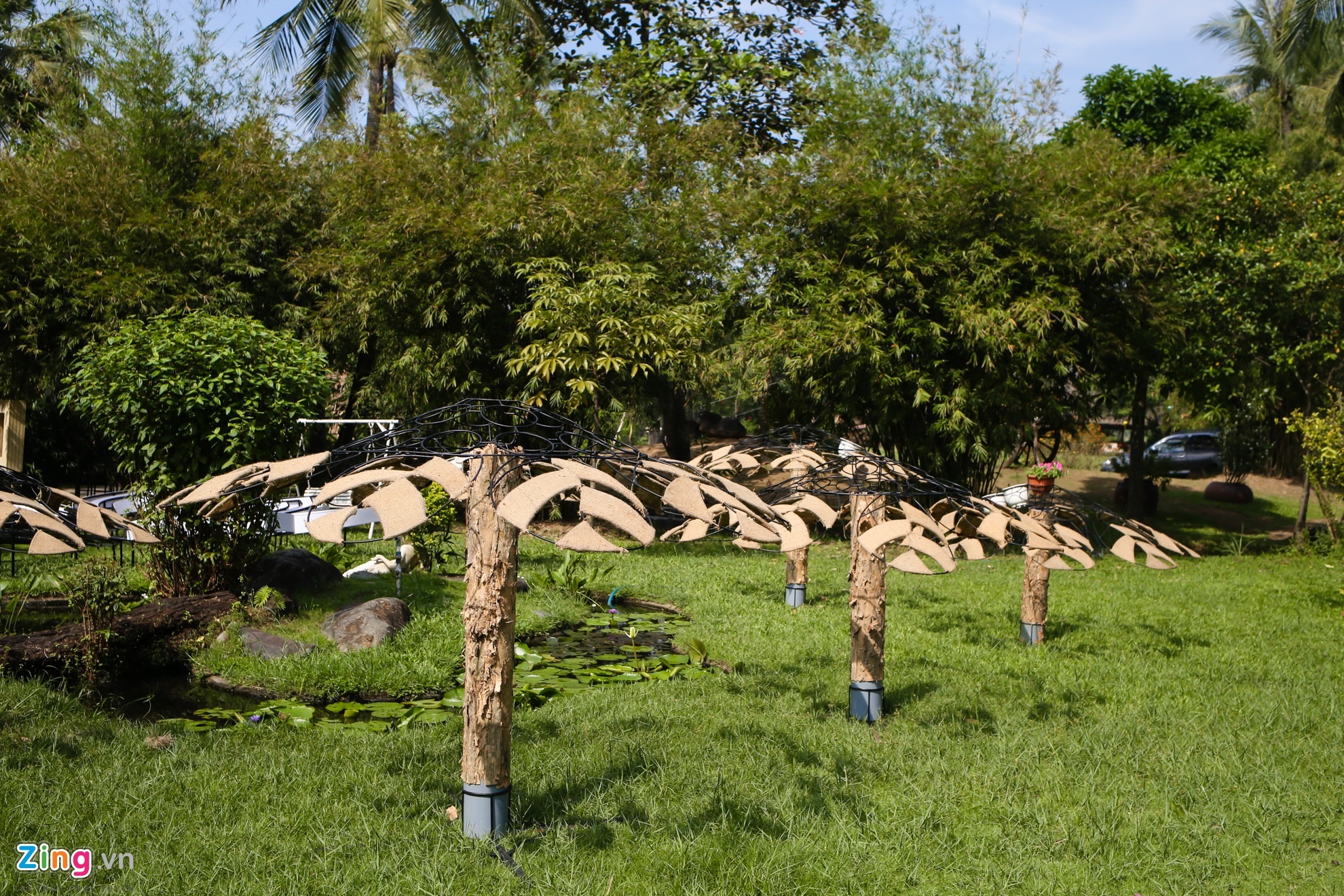 Duong hoa Nguyen Hue 2017 anh 6