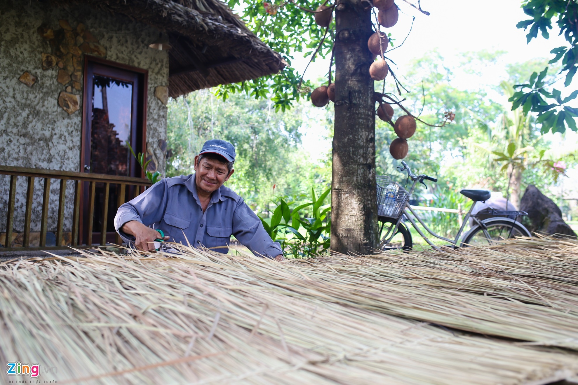 Duong hoa Nguyen Hue 2017 anh 10