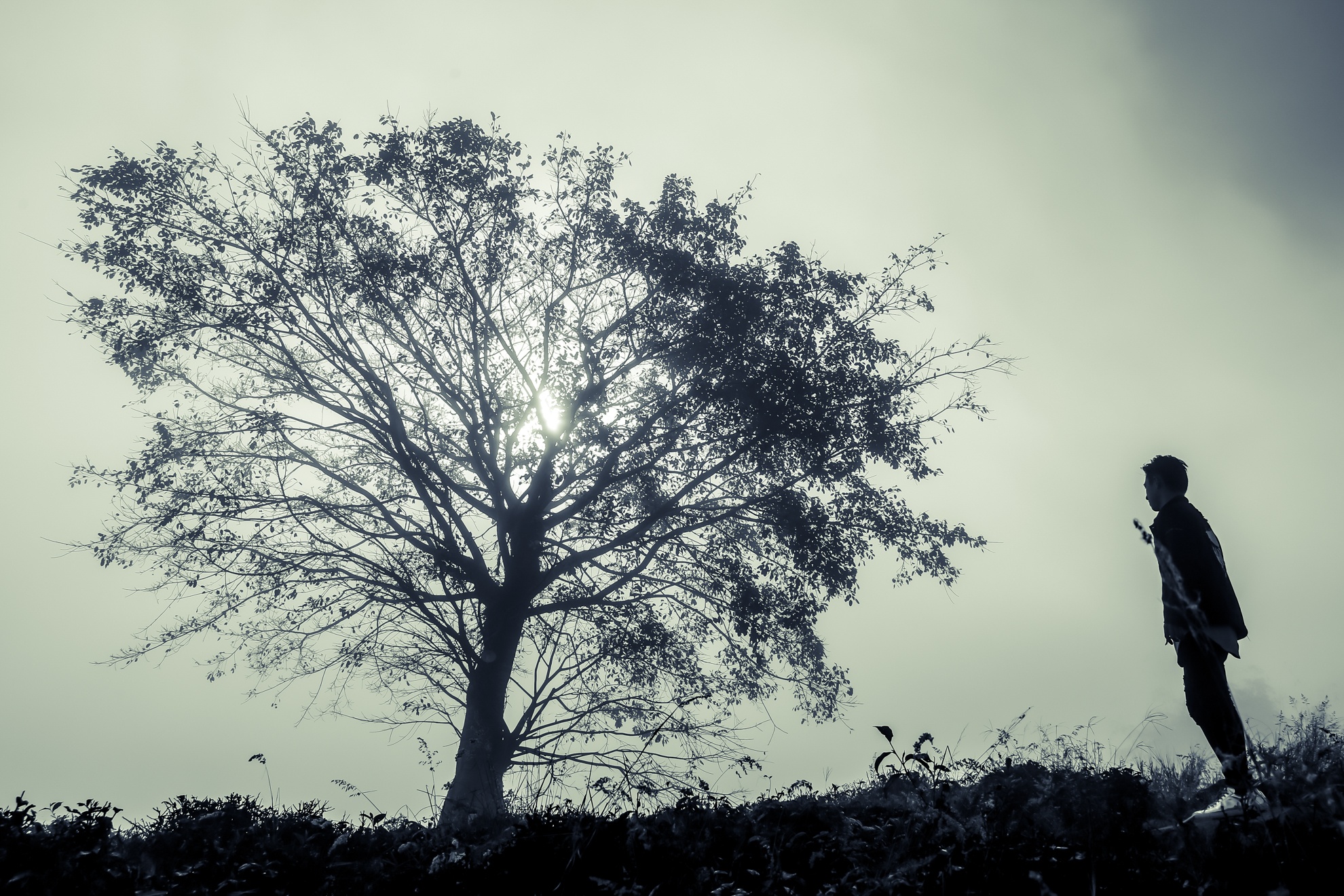 Linh quy phap an ngoi chua tren may anh 12