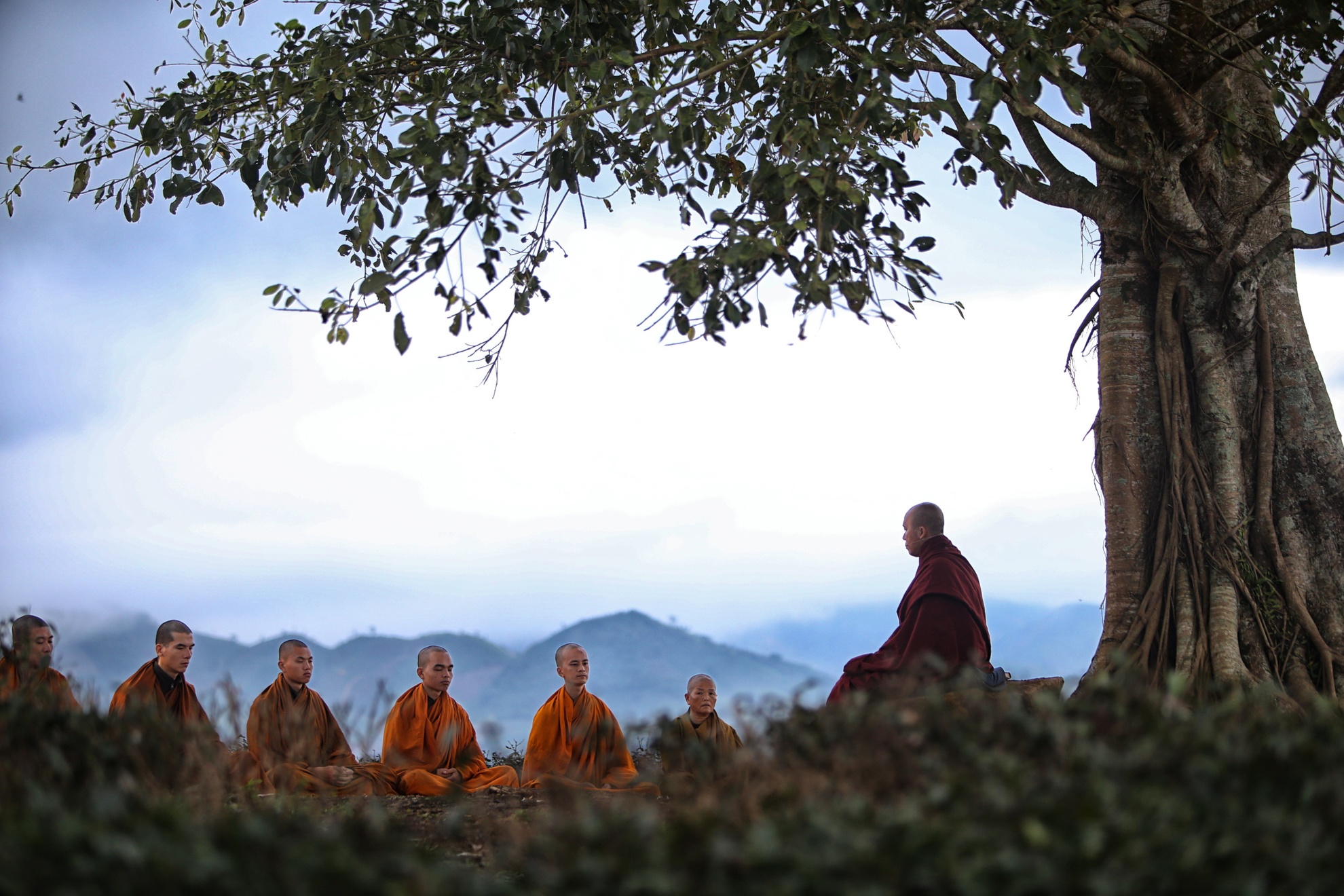 Linh quy phap an ngoi chua tren may anh 13