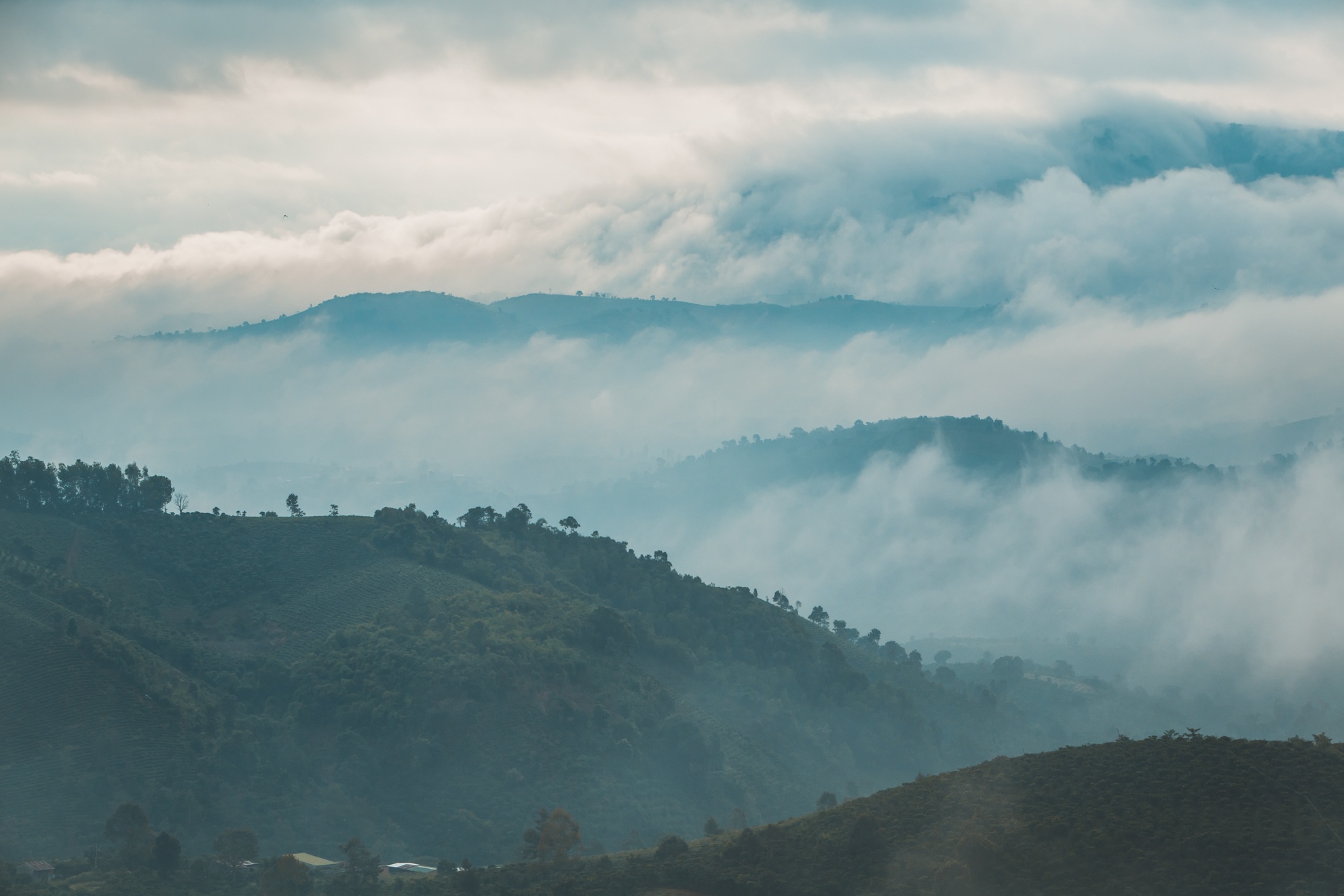 Linh quy phap an ngoi chua tren may anh 5