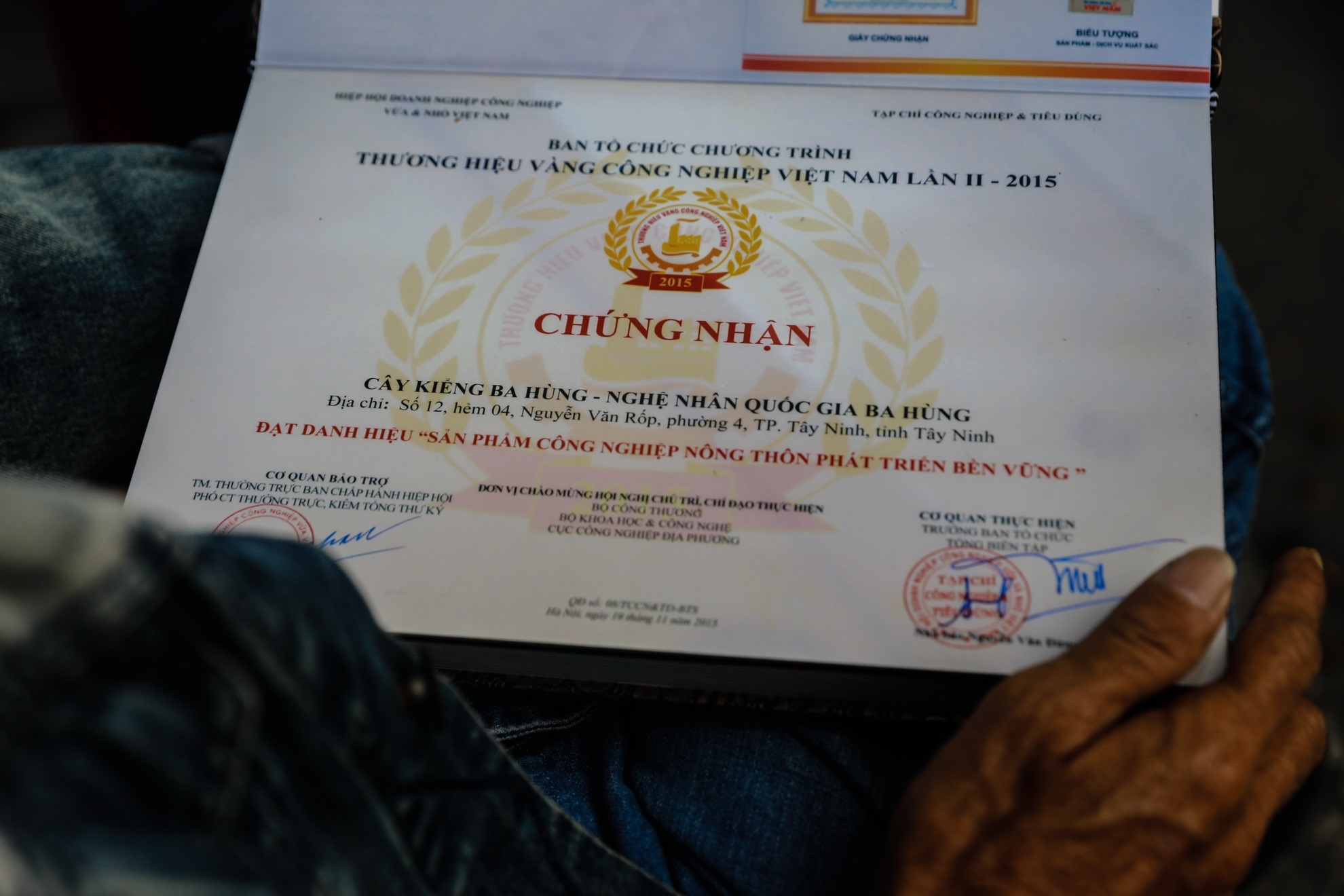 cay khe 12 ty anh 10