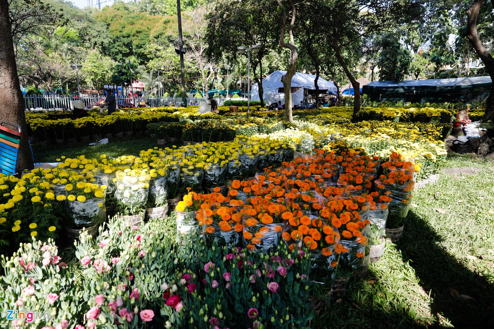 Cho hoa ngay tet nguyen dan anh 1