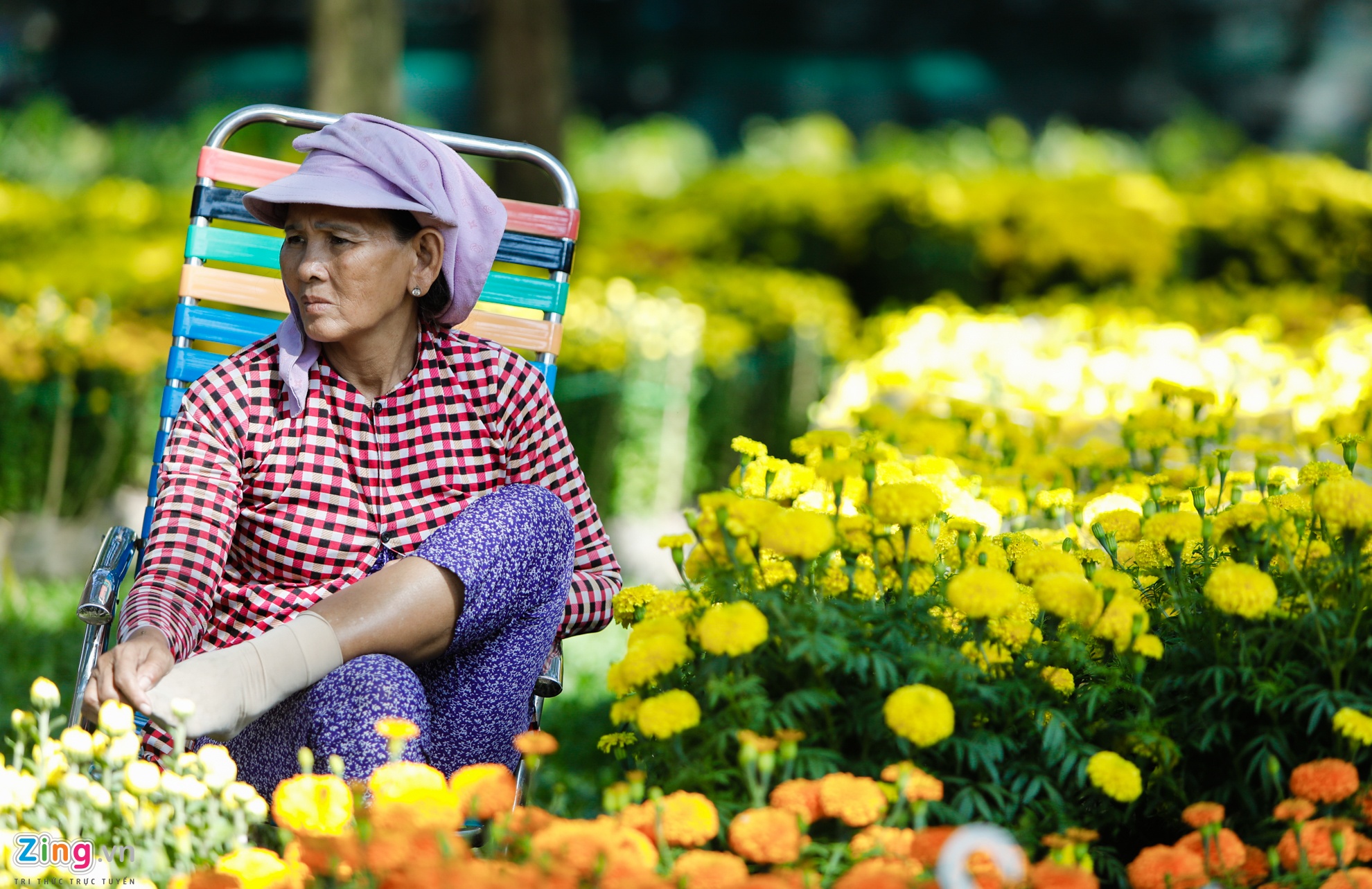 Cho hoa ngay tet nguyen dan anh 4