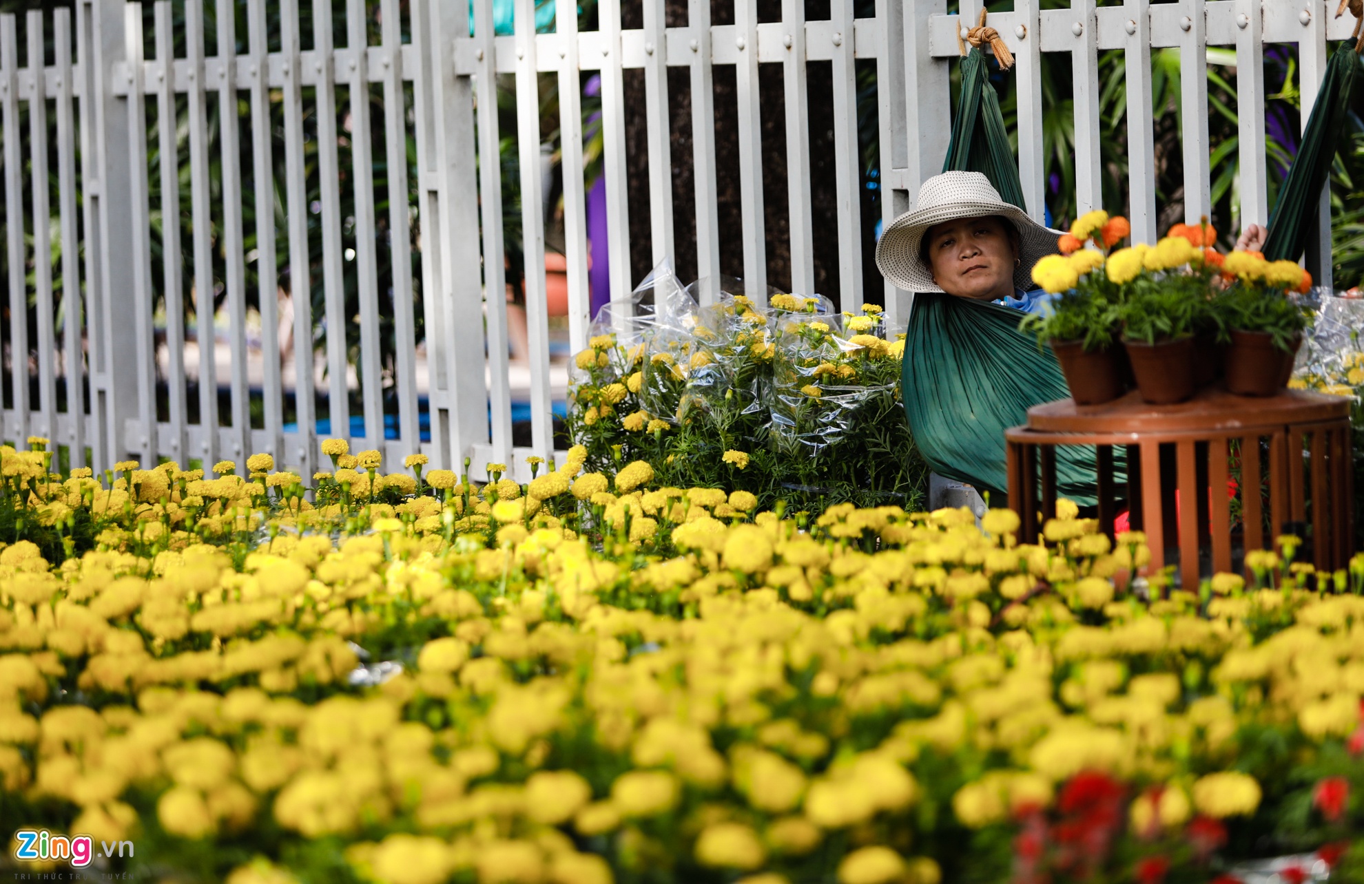 Cho hoa ngay tet nguyen dan anh 3