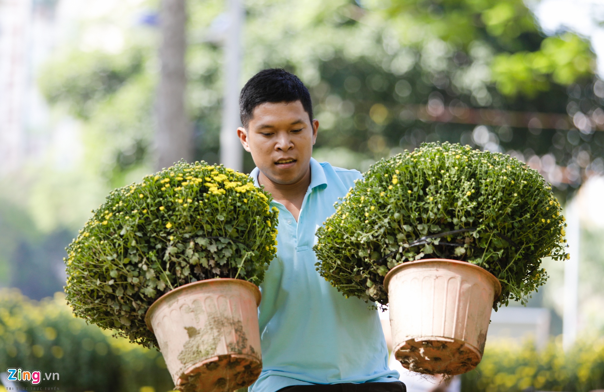 Cho hoa ngay tet nguyen dan anh 5