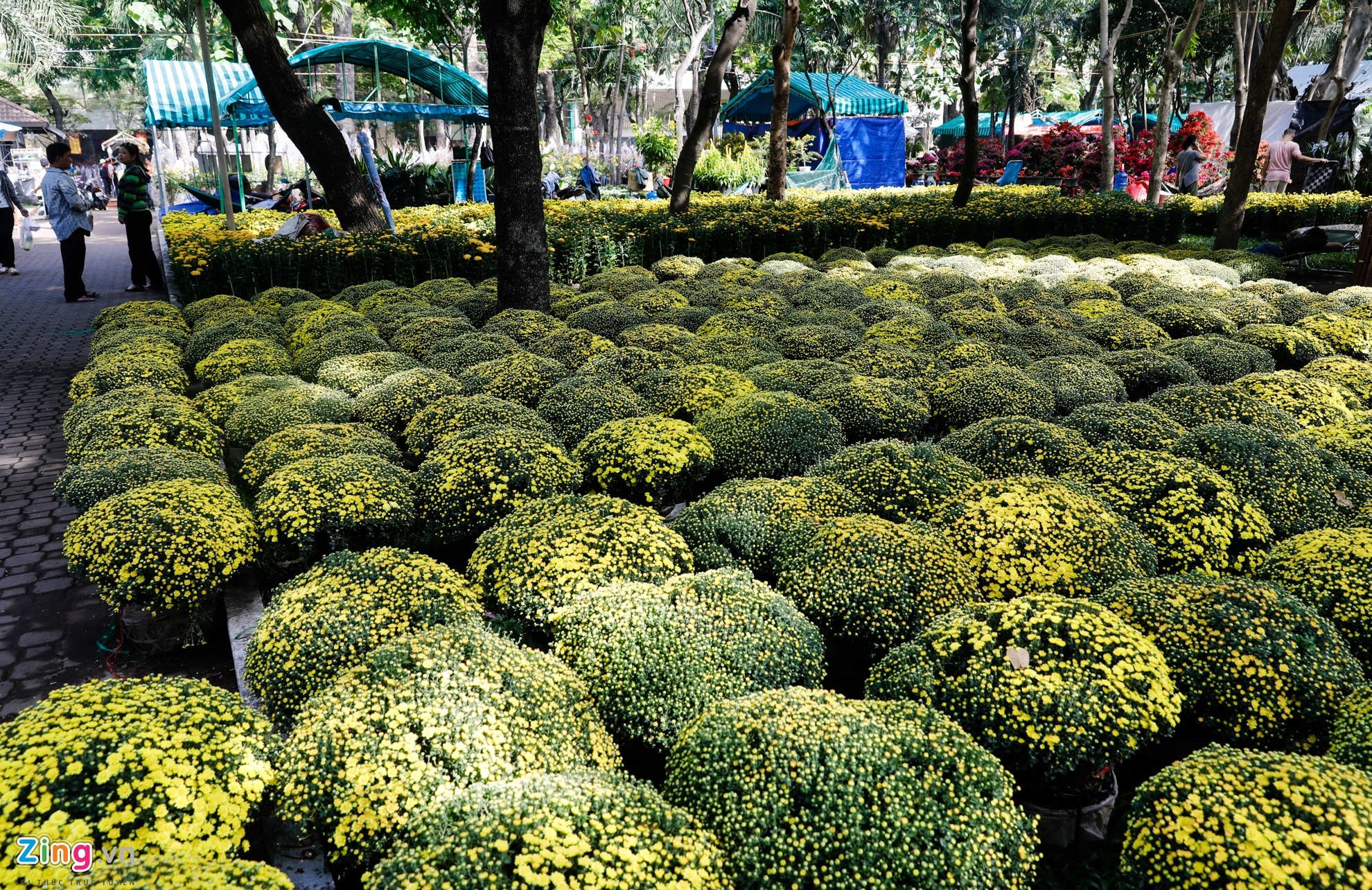 Cho hoa ngay tet nguyen dan anh 2