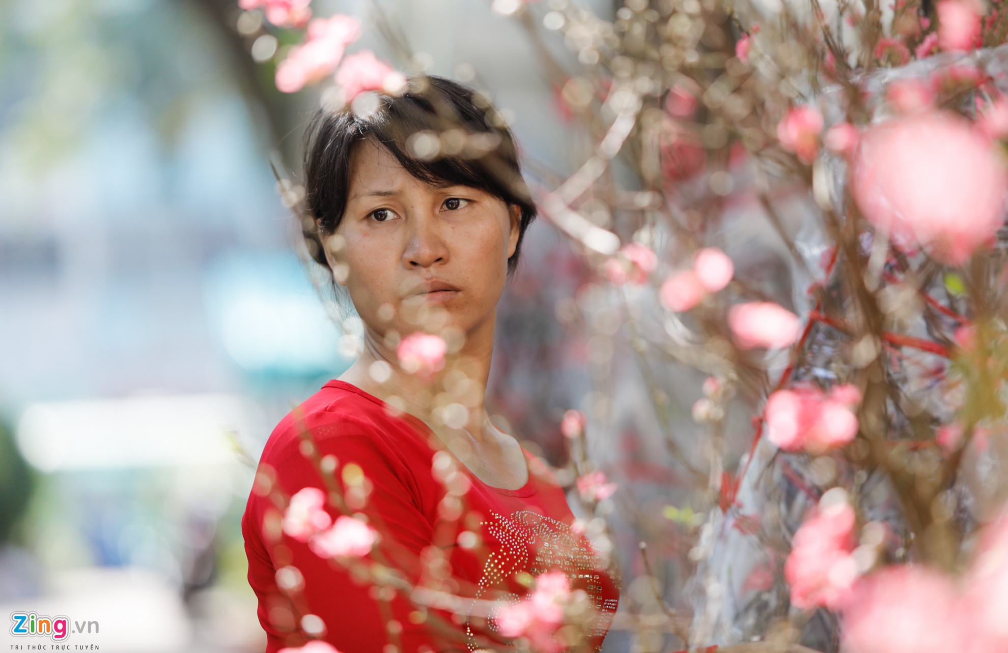 Cho hoa ngay tet nguyen dan anh 7