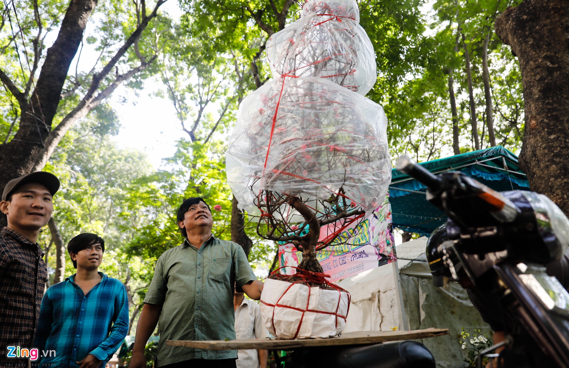 Cho hoa ngay tet nguyen dan anh 8